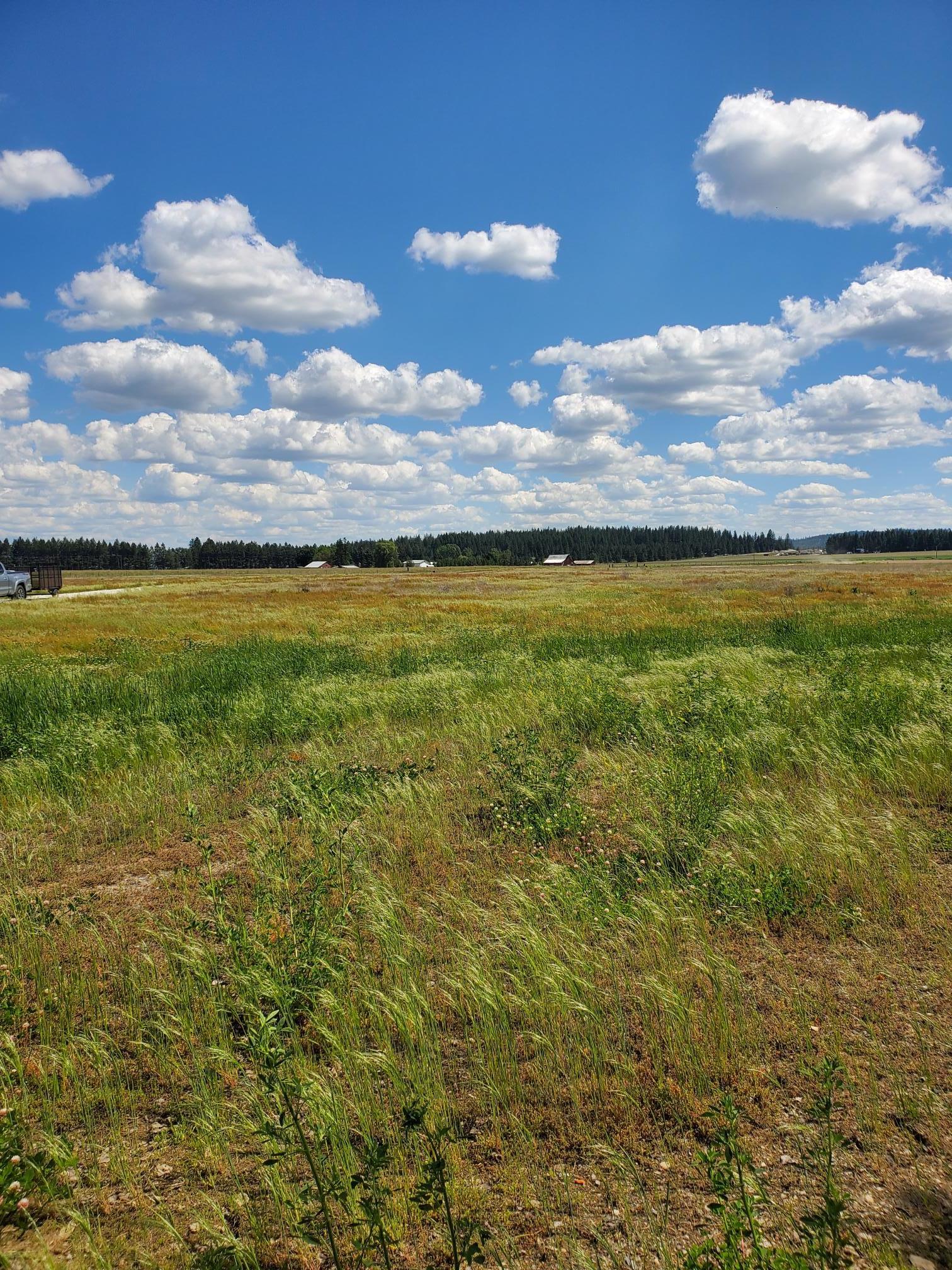 5166 Hattery-Owens Road, Unit PARCEL A Deer Park, WA 99006 - Photo 3 of 18