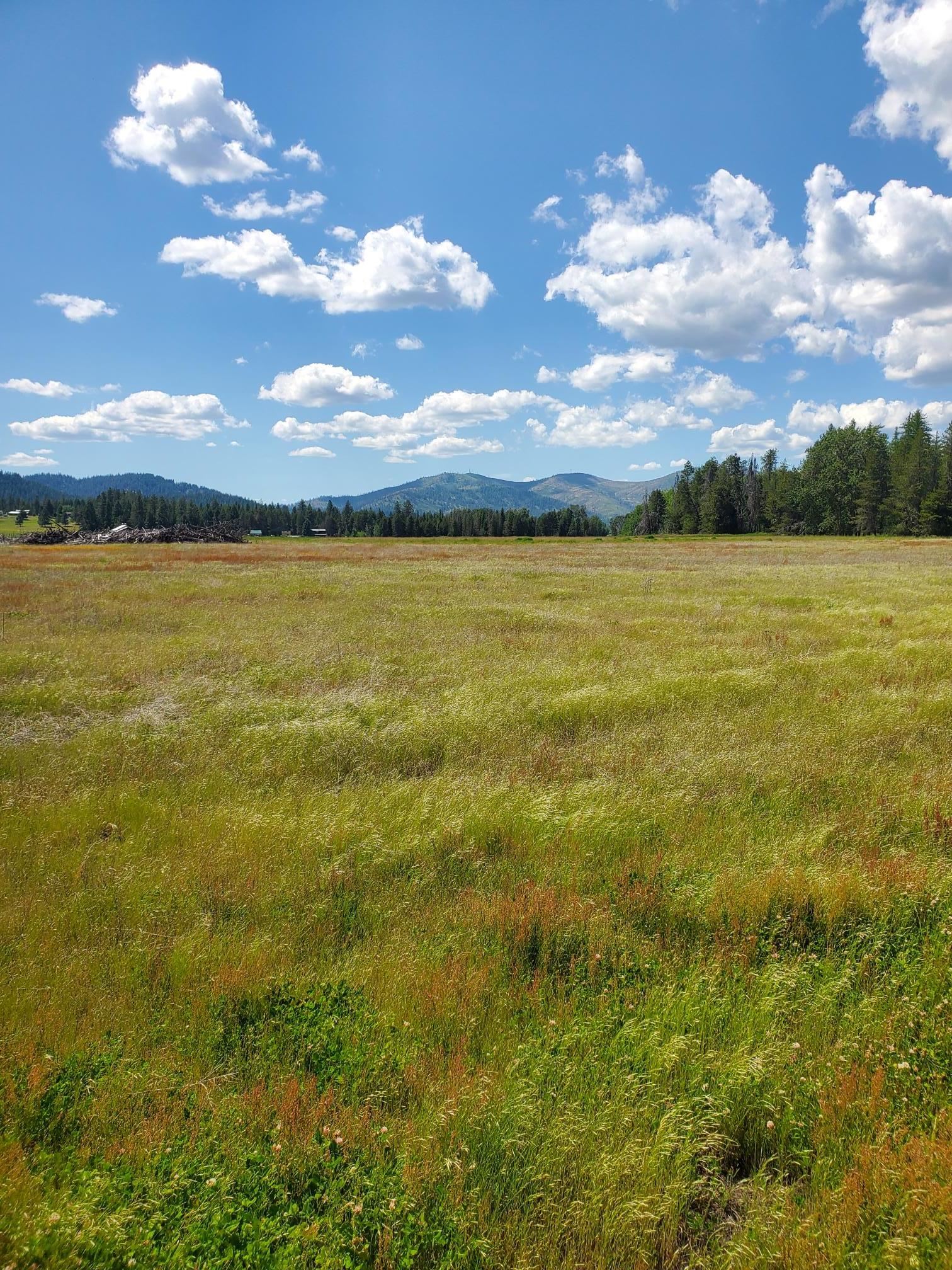 5166 Hattery-Owens Road, Unit PARCEL A Deer Park, WA 99006 - Photo 4 of 18