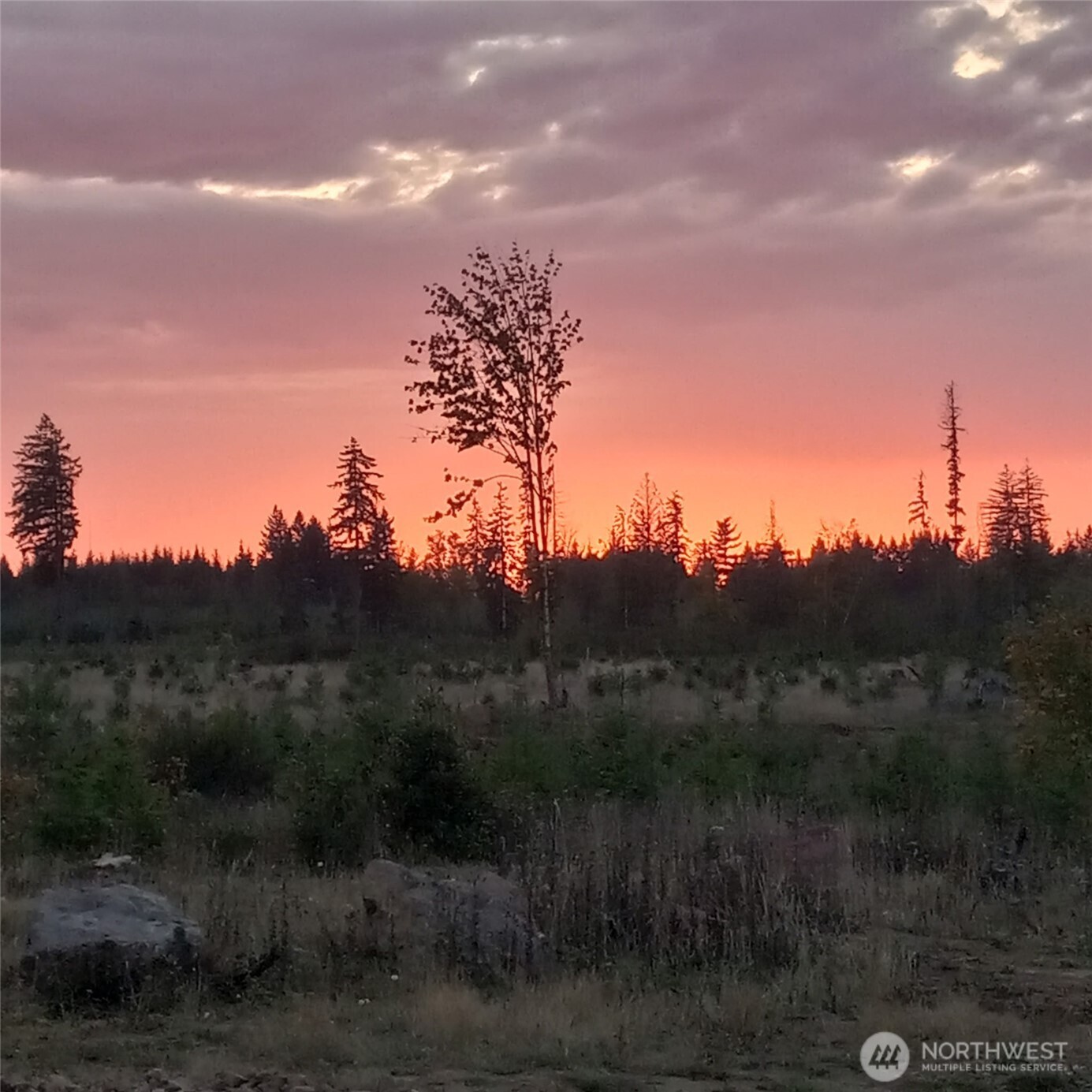 158 Macomber Road West Chehalis, WA 98532 - Photo 17 of 19 a view of a yard