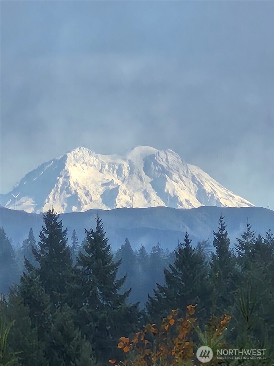 158 Macomber Road West Chehalis, WA 98532 - Photo 19 of 19 a view of a dry yard