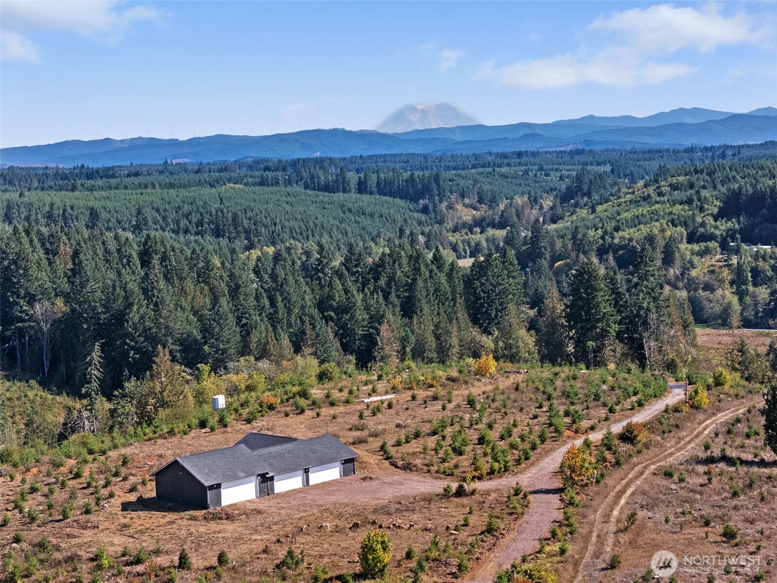 158 Macomber Road West Chehalis, WA 98532 - Photo 5 of 19 a view of a mountain with a backyard of a house