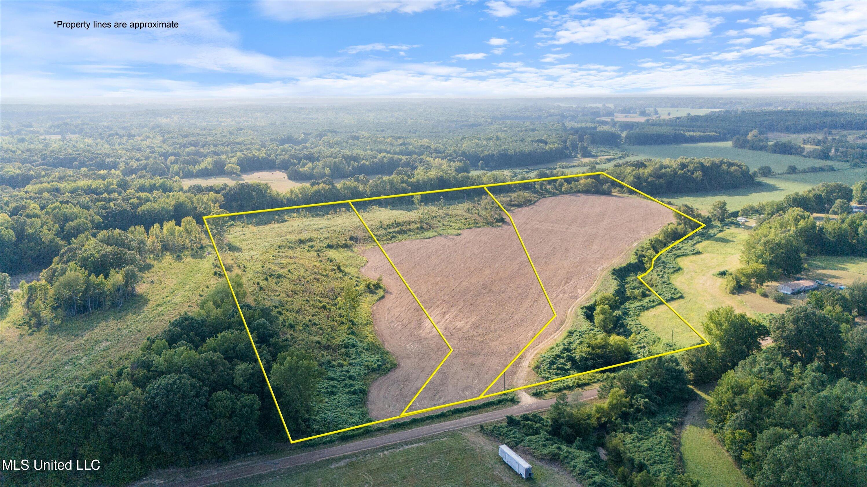 13.73-ac Pearl Smith Road Senatobia, MS 38668 - Photo 2 of 6 Lot - 2