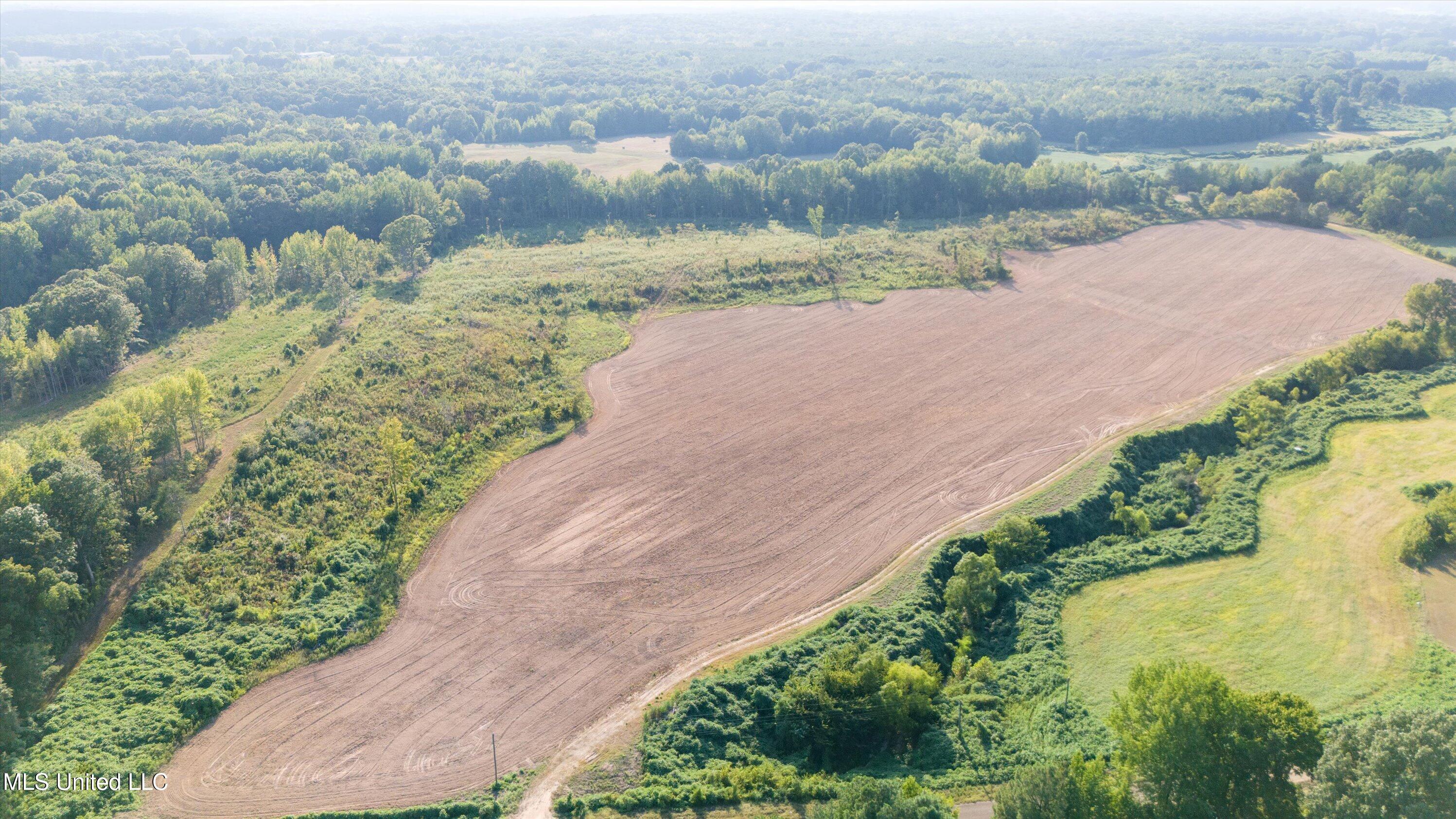 13.73-ac Pearl Smith Road Senatobia, MS 38668 - Photo 4 of 6 1-DJI_20240823172902_0211_D