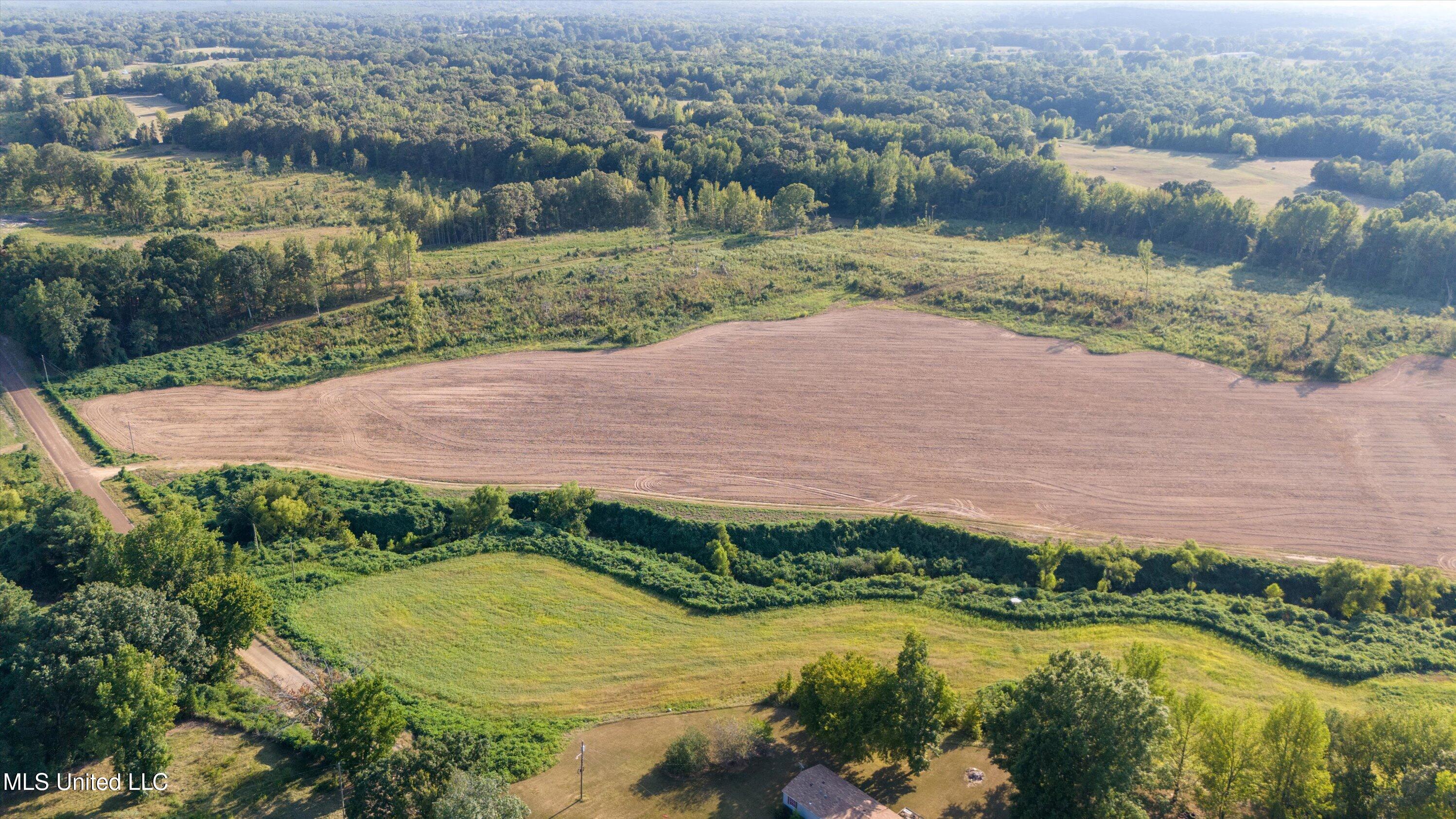 13.73-ac Pearl Smith Road Senatobia, MS 38668 - Photo 6 of 6 3-DJI_20240823173003_0221_D