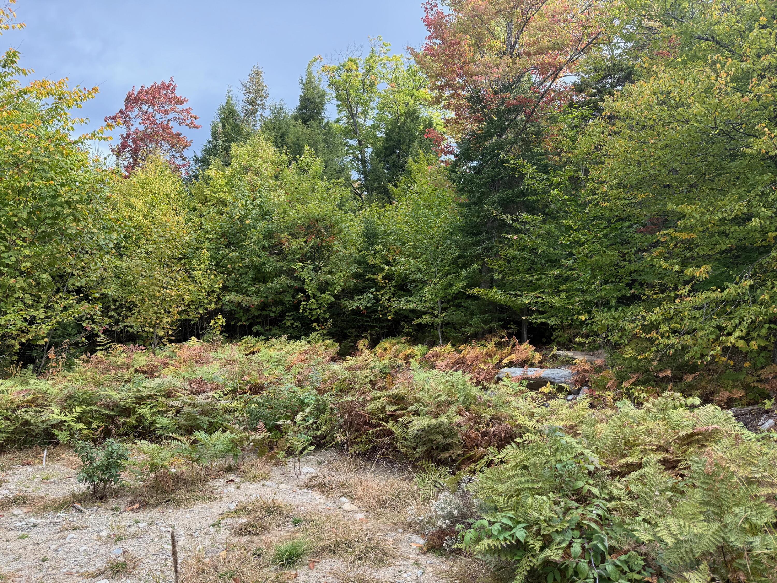 25-2 Sunset (eagle Ridge) Lane Kingfield, ME 04947 - Photo 6 of 8