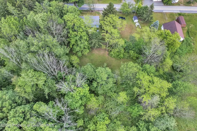 a backyard of a house with lots of green space and trees all around