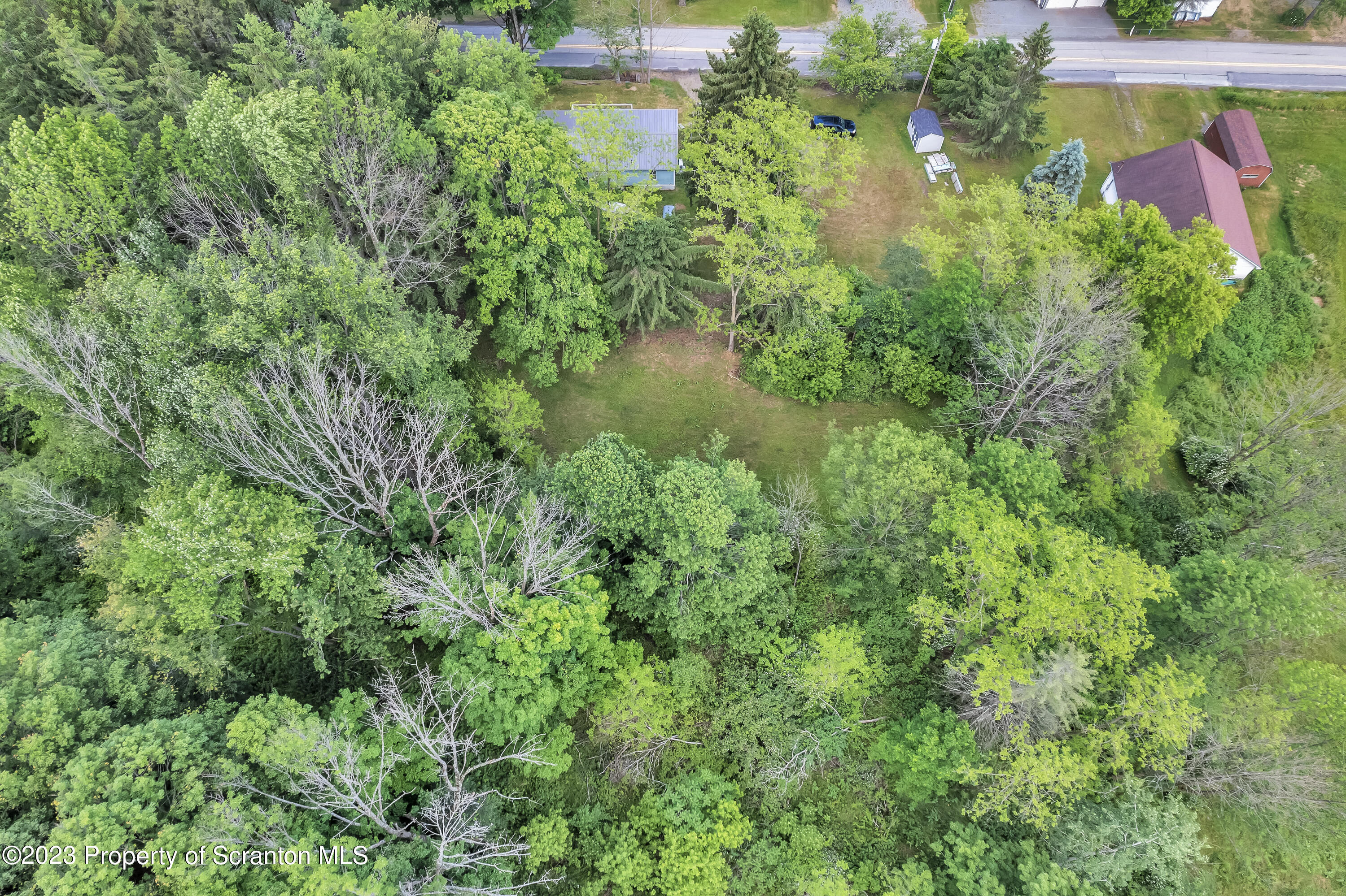 11715 Forest Lake Road Montrose, PA 18801 - Photo 30 of 40 a backyard of a house with lots of green space and trees all around