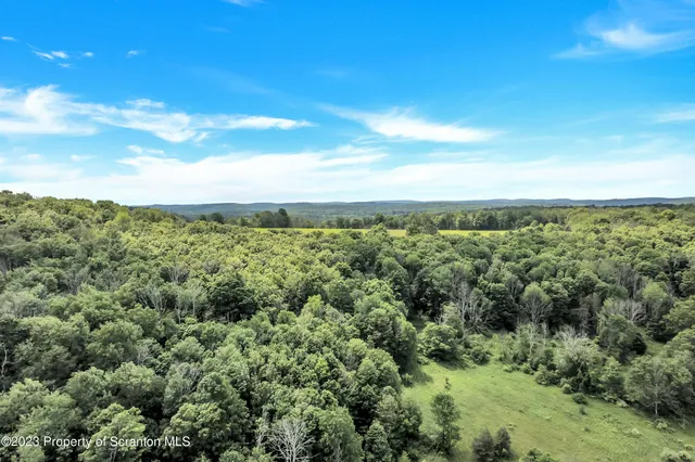 a view of a green field