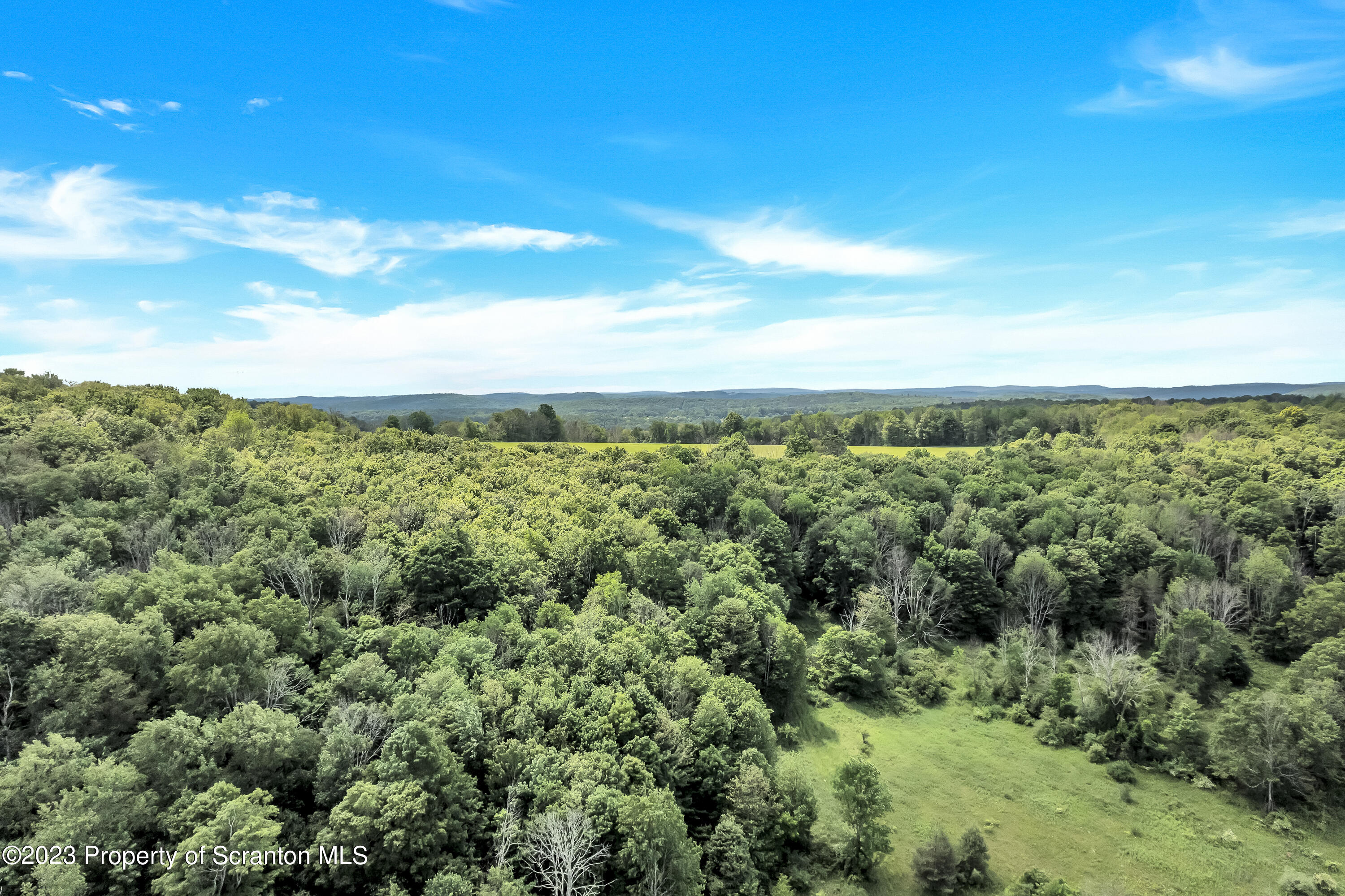 11715 Forest Lake Road Montrose, PA 18801 - Photo 33 of 40 a view of a green field
