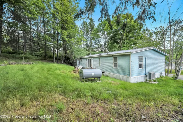 a backyard of a house with lawn chairs plants and tree