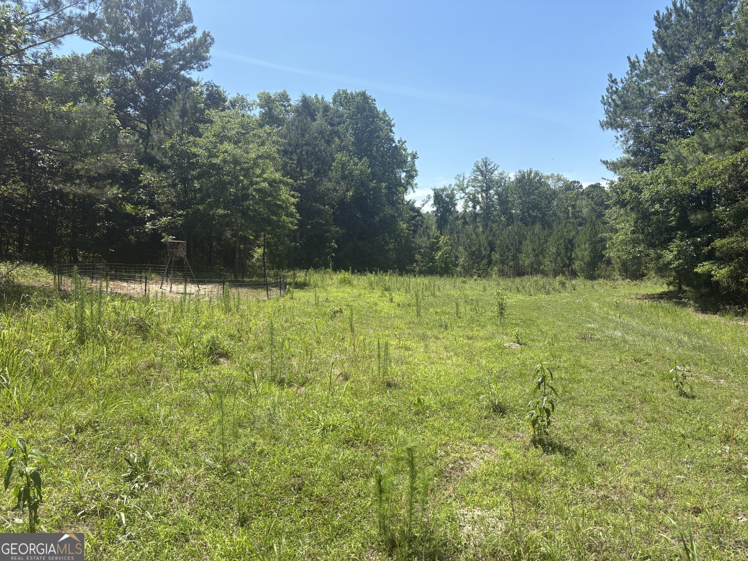 0 Wriley Road McIntyre, GA 31054 - Photo 20 of 29