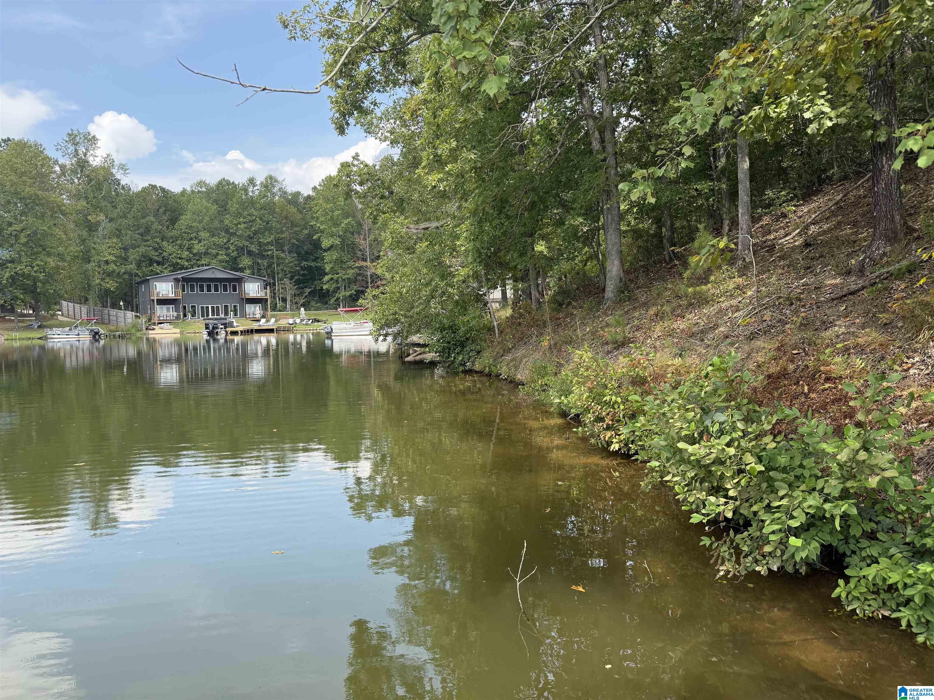 0 Lakeside Circle, Unit 31 Delta, AL 36258 - Photo 16 of 16