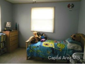 6182 Wagon Ford Road Chatham, IL 62629 - Photo 15 of 18