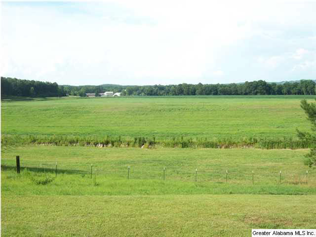 353 County Road 802 Heflin, AL 36264 - Photo 3 of 16