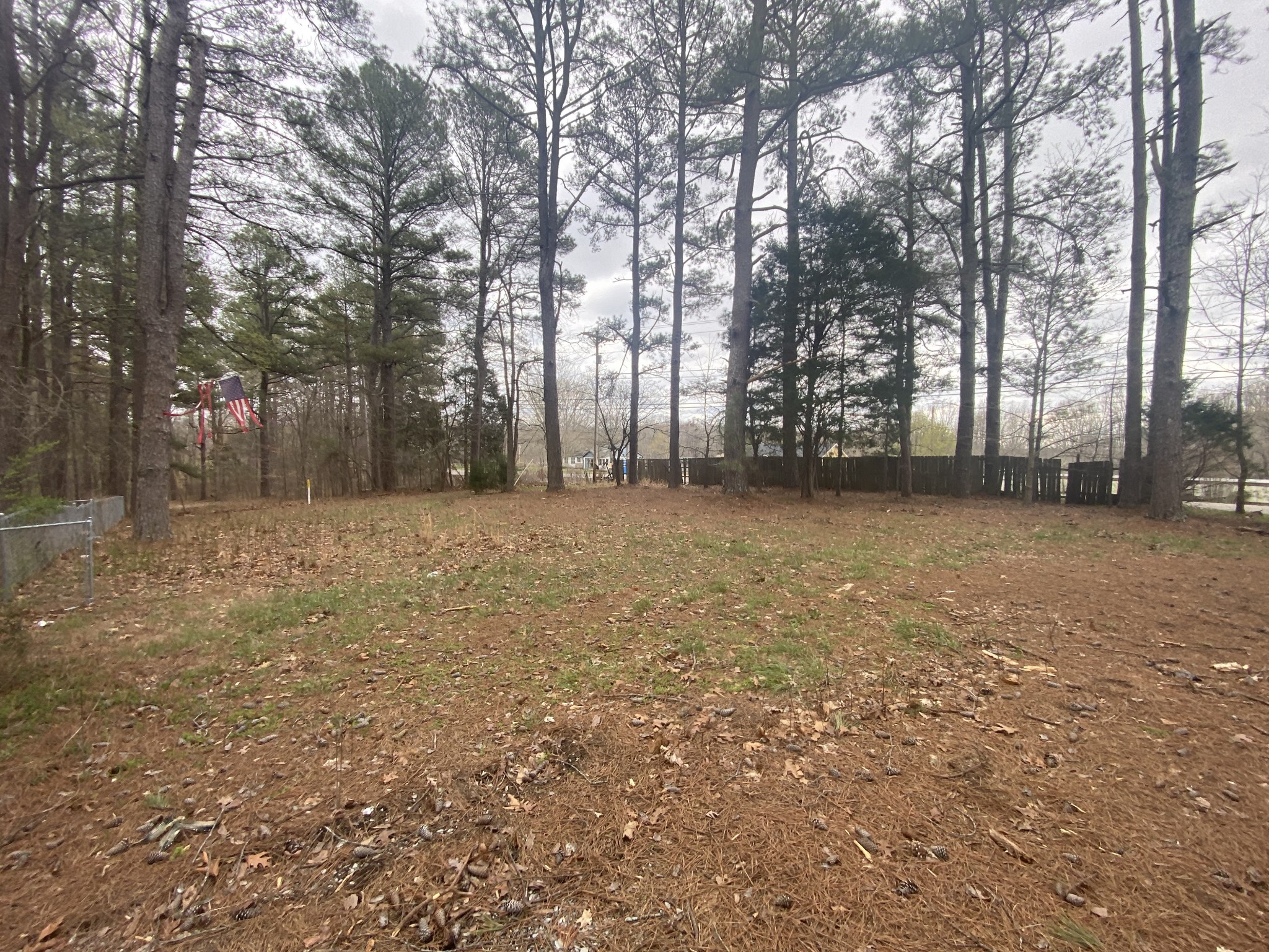 600 Pack Road White Bluff, TN 37187 - Photo 2 of 15 Gallery Image 2