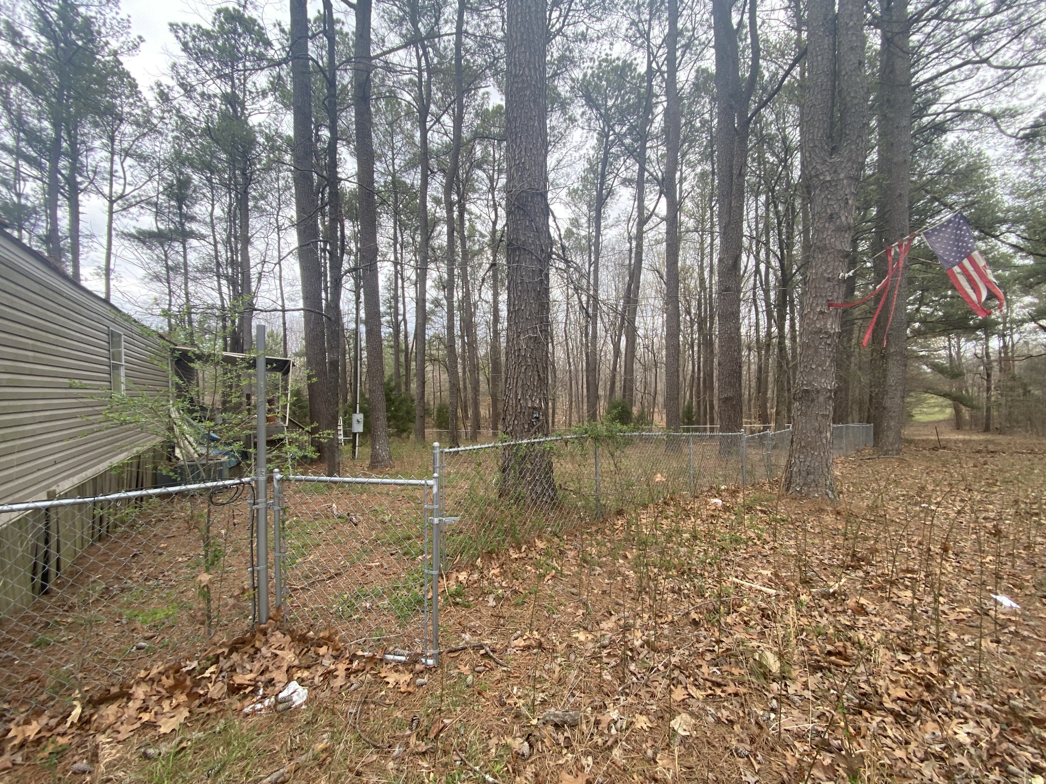 600 Pack Road White Bluff, TN 37187 - Photo 3 of 15 Gallery Image 3
