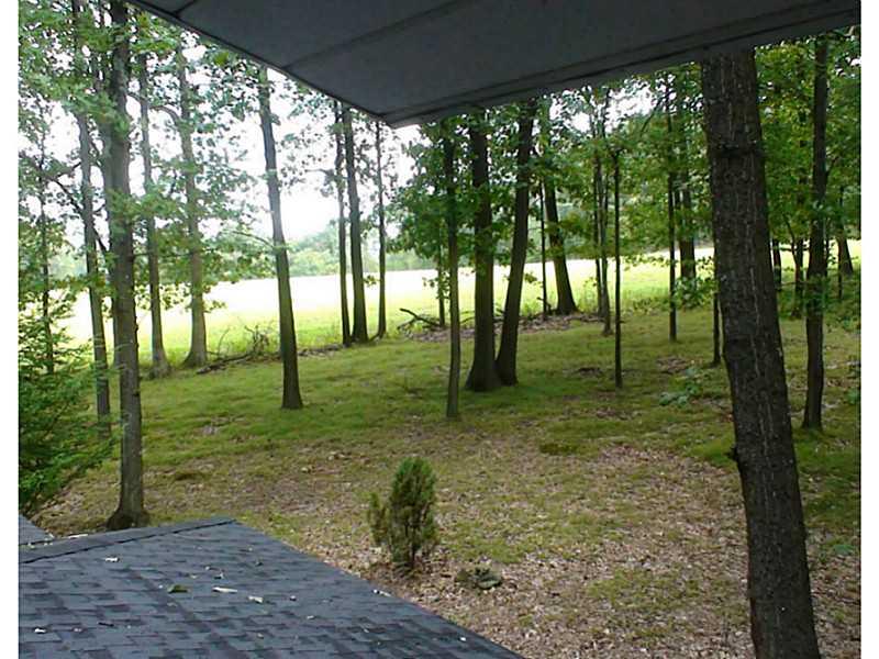 1558 Kohlhepp Road Rochester Mills, PA 15771 - Photo 12 of 15 Yard/Garden.