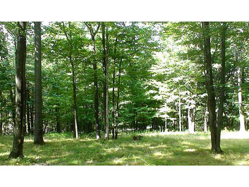 1558 Kohlhepp Road Rochester Mills, PA 15771 - Photo 13 of 15 Yard/Garden.