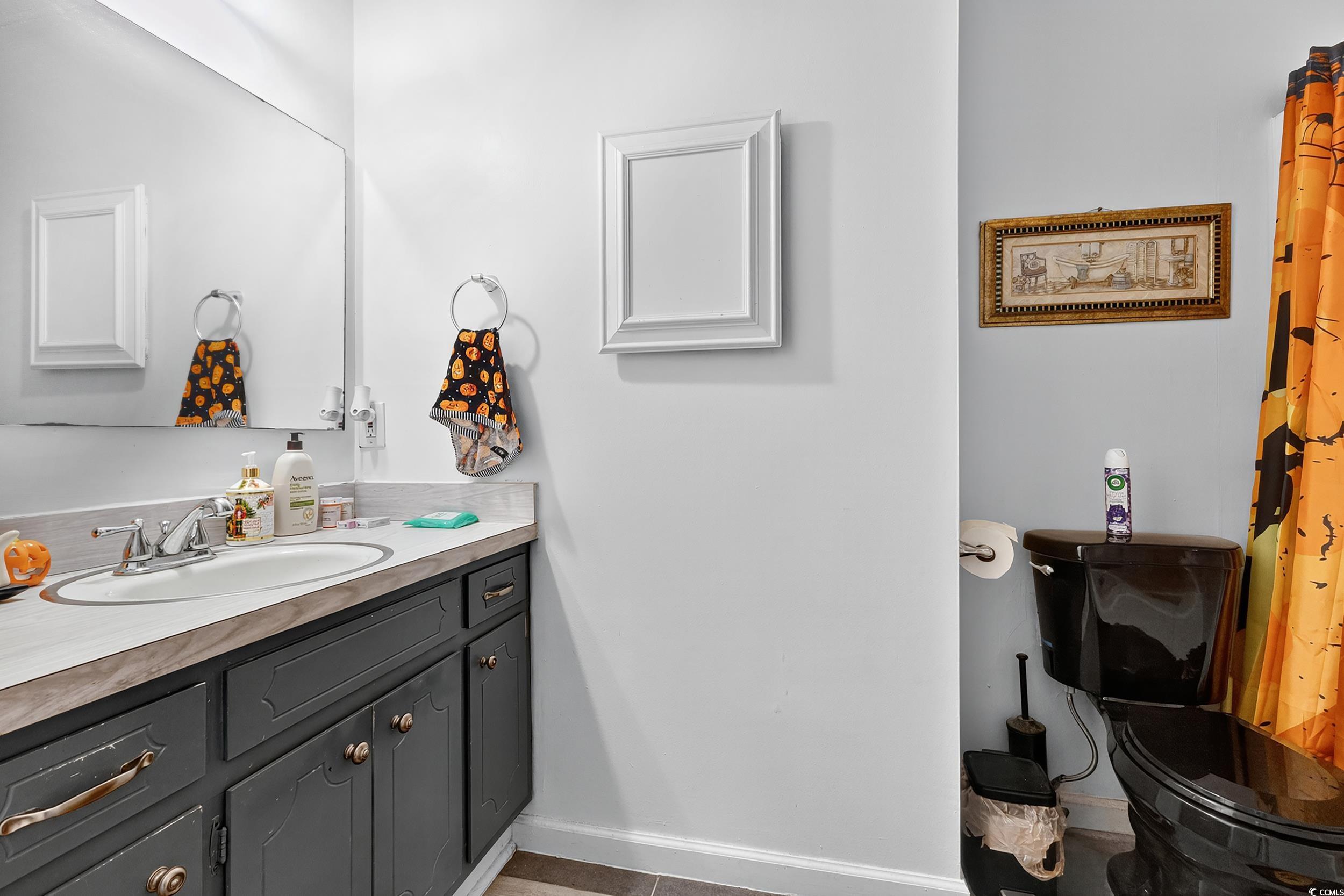 342 Red Fox Road Myrtle Beach, SC 29579 - Photo 31 of 40 Bathroom featuring vanity and light tile patterned floors