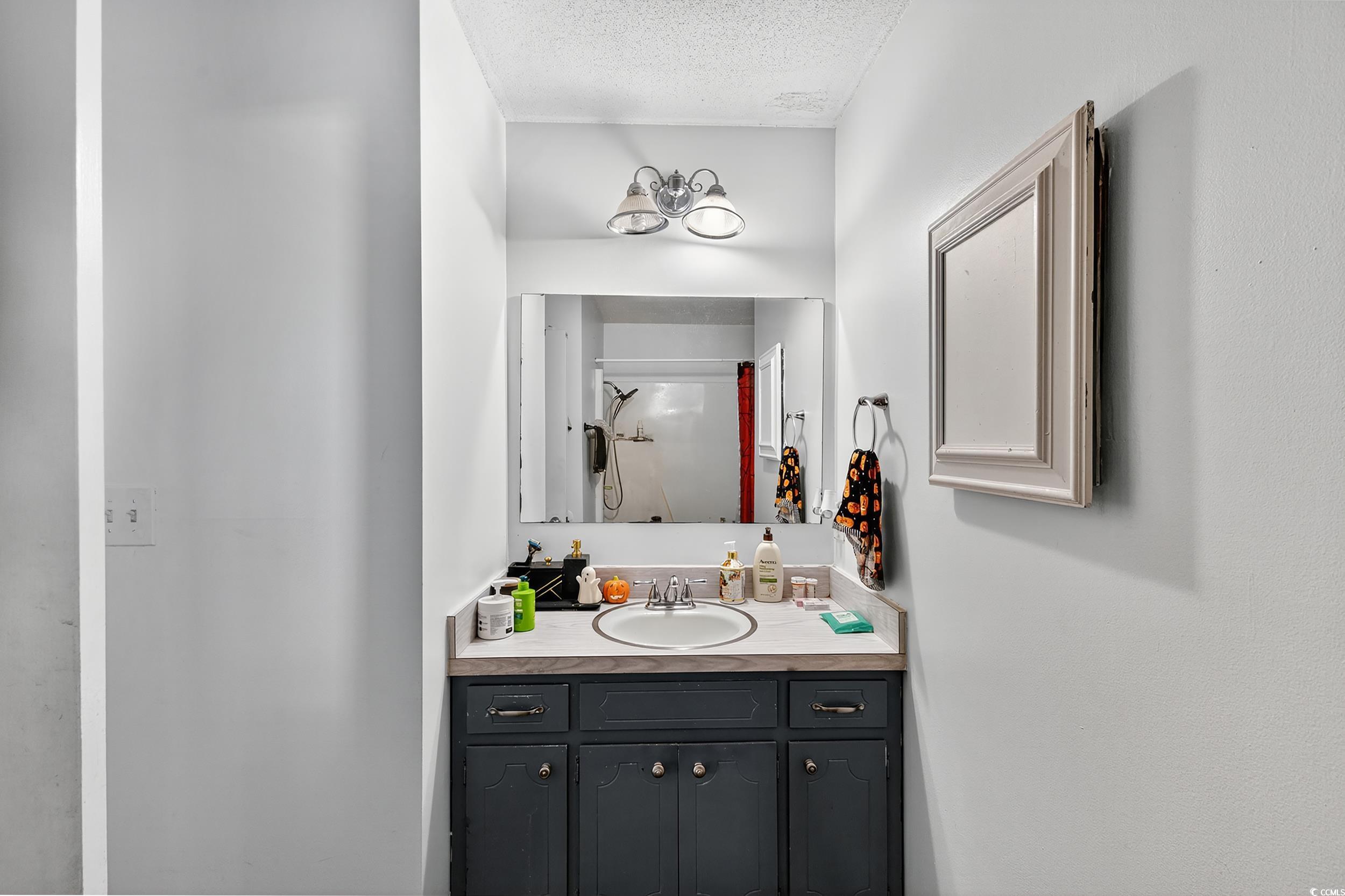 342 Red Fox Road Myrtle Beach, SC 29579 - Photo 32 of 40 Full bath with a shower, vanity, and a textured ceiling