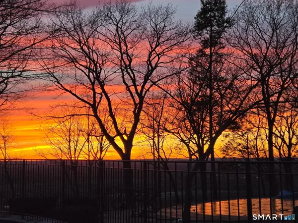 a backyard of a house with large trees