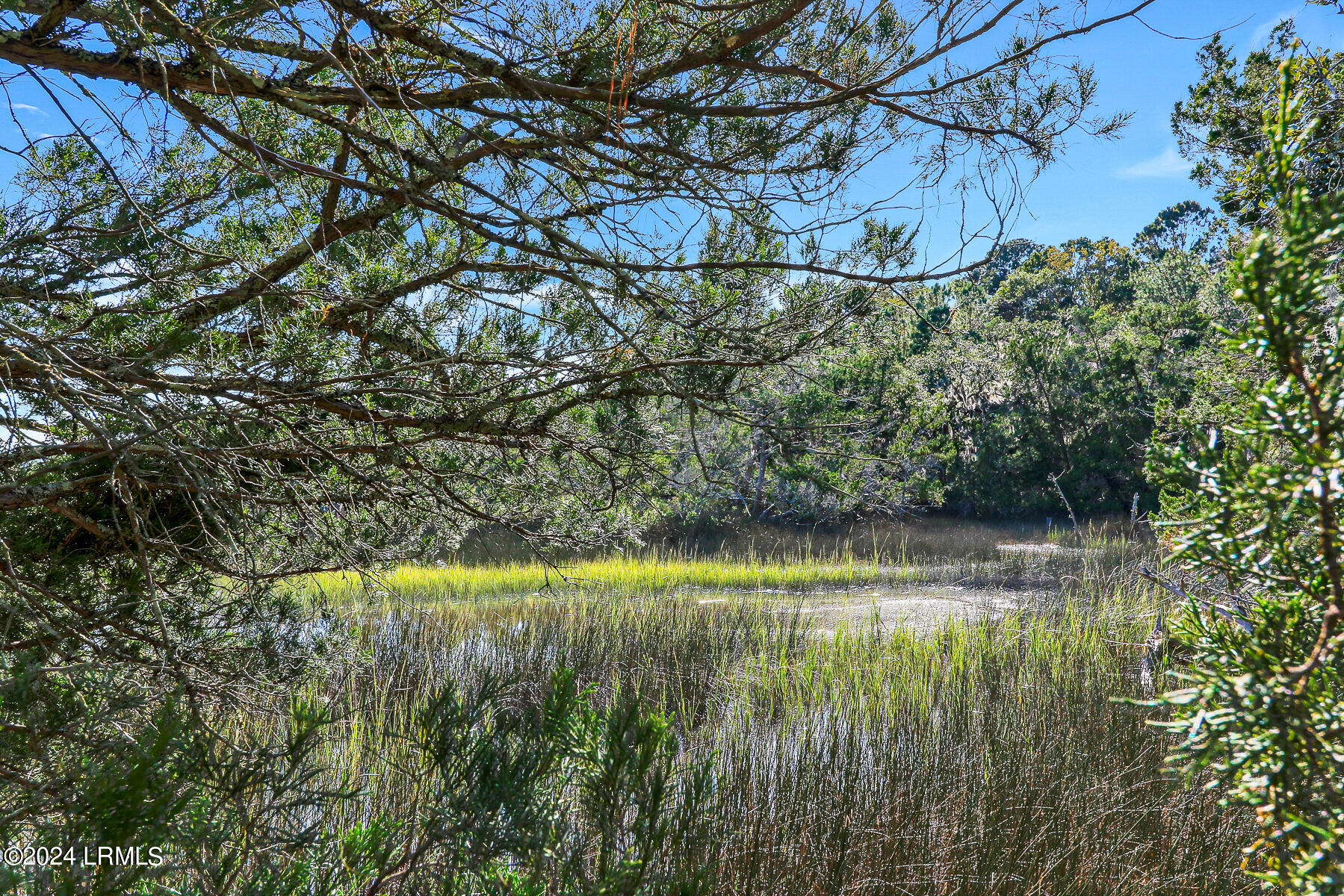 93 Bull Point Drive Seabrook, SC 29940 - Photo 18 of 42 93 Bull Point Dr-4