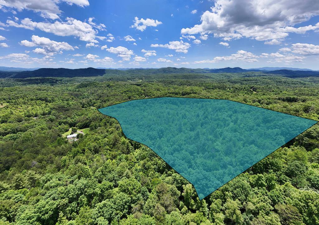 31.42-ac Dotson Road Murphy, NC 28906 - Photo 1 of 30 Main View