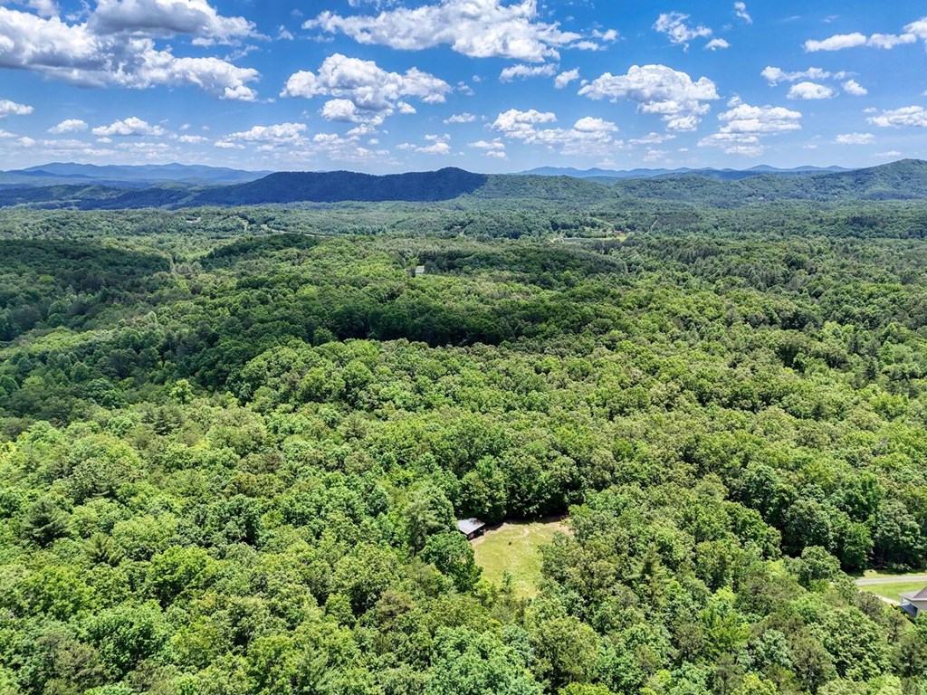 31.42-ac Dotson Road Murphy, NC 28906 - Photo 19 of 30 Gallery Image 19