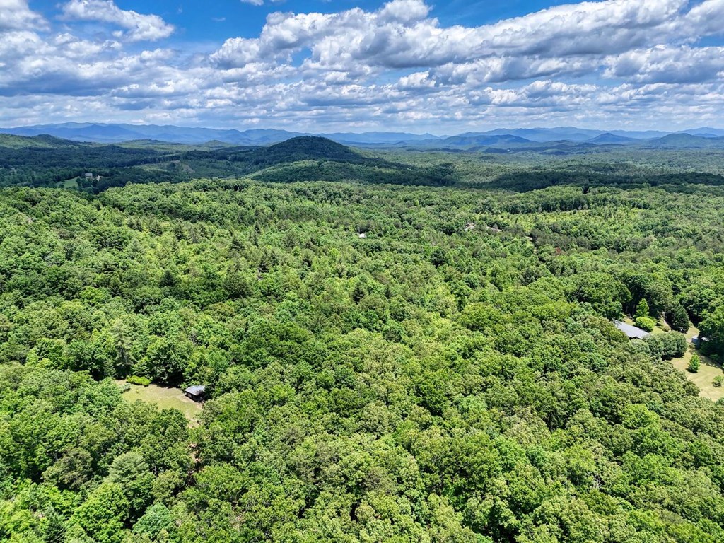 31.42-ac Dotson Road Murphy, NC 28906 - Photo 22 of 30 Gallery Image 22