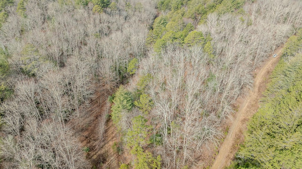 1.03 Deep Frst Road Murphy, NC 28906 - Photo 26 of 28