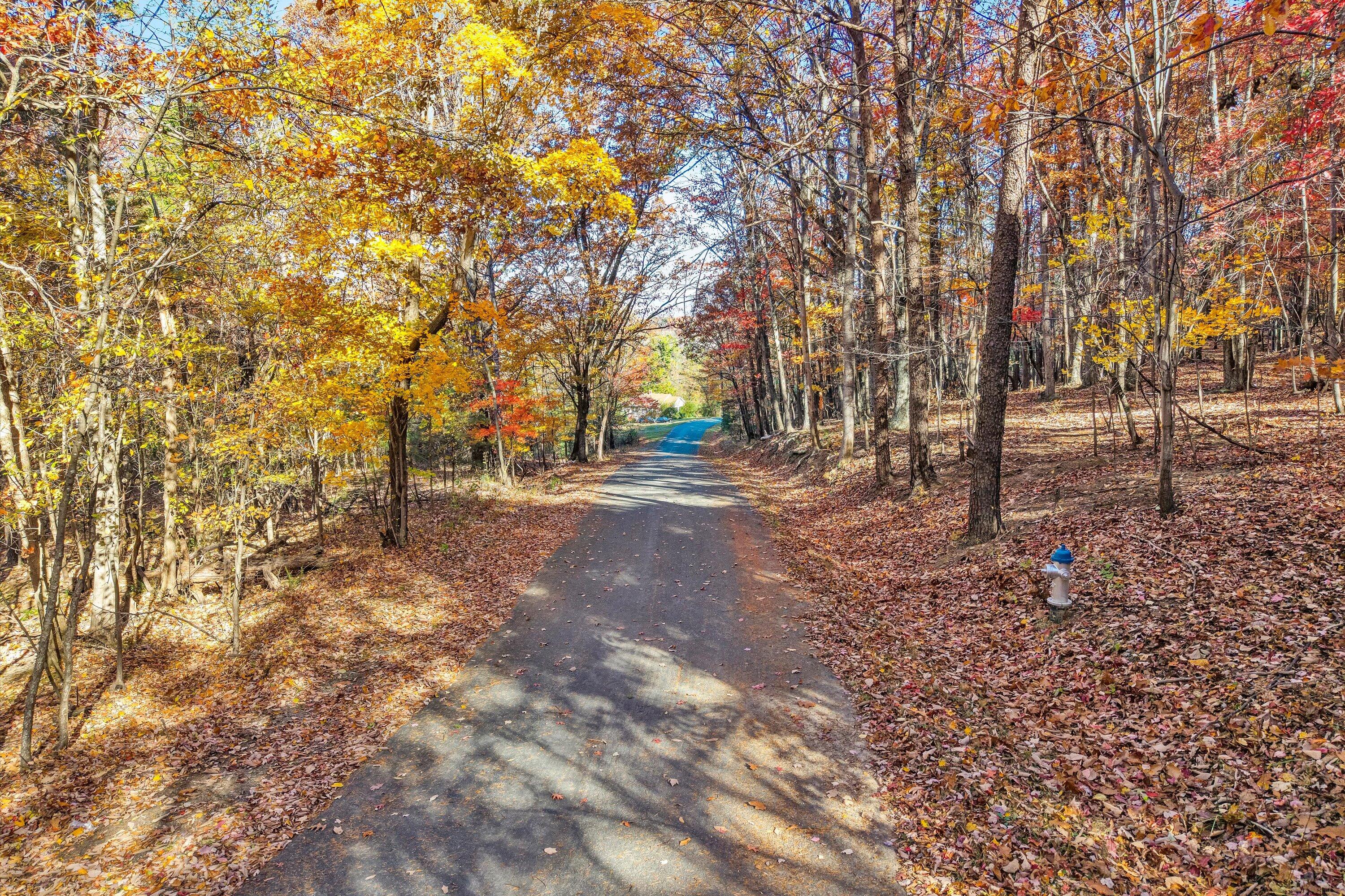 0 Elm View Road Roanoke, VA 24018 - Photo 1 of 29 a view of outdoor space with trees