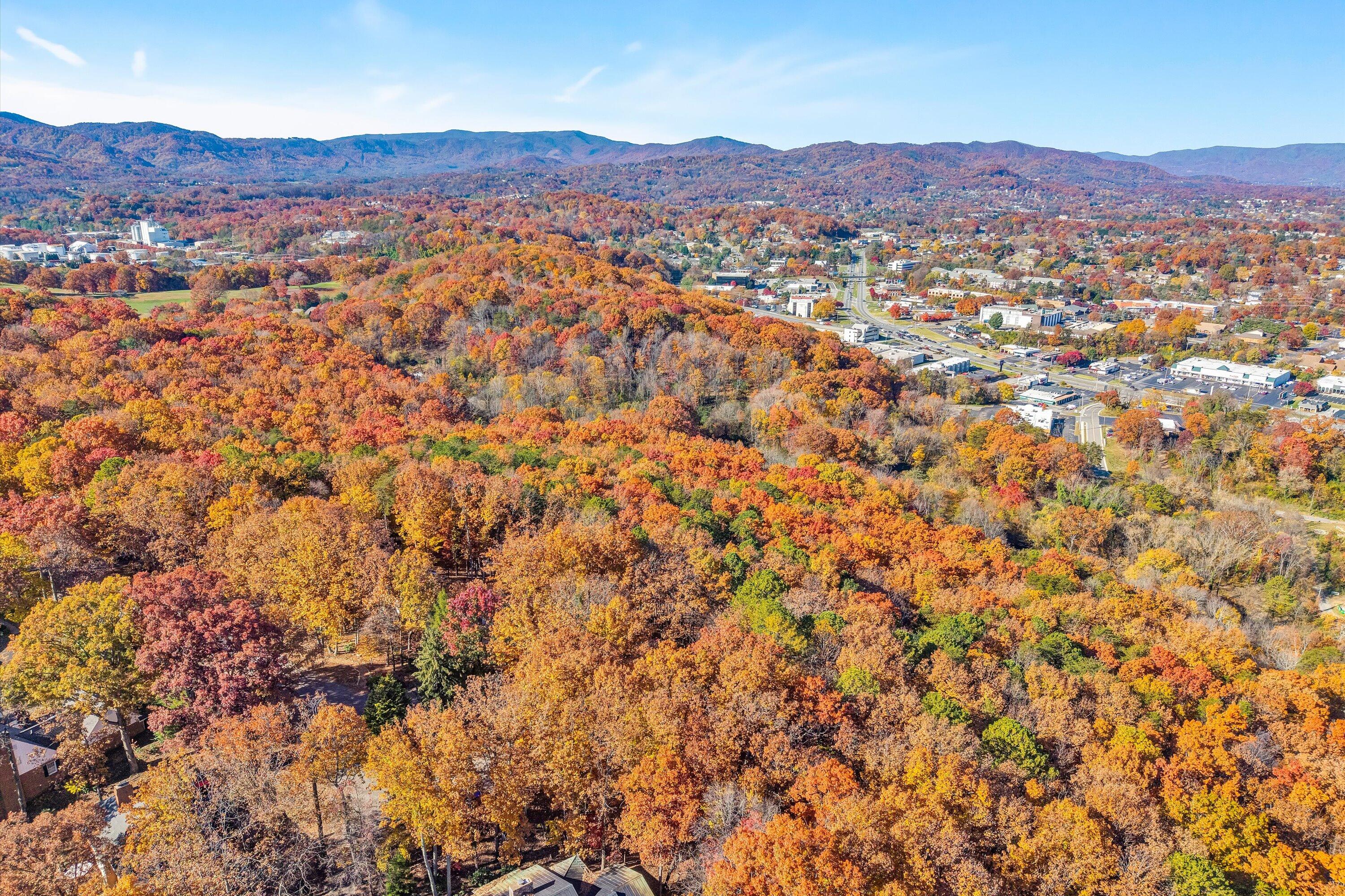 0 Elm View Road Roanoke, VA 24018 - Photo 15 of 29 a view of a lush green hillside and a houses