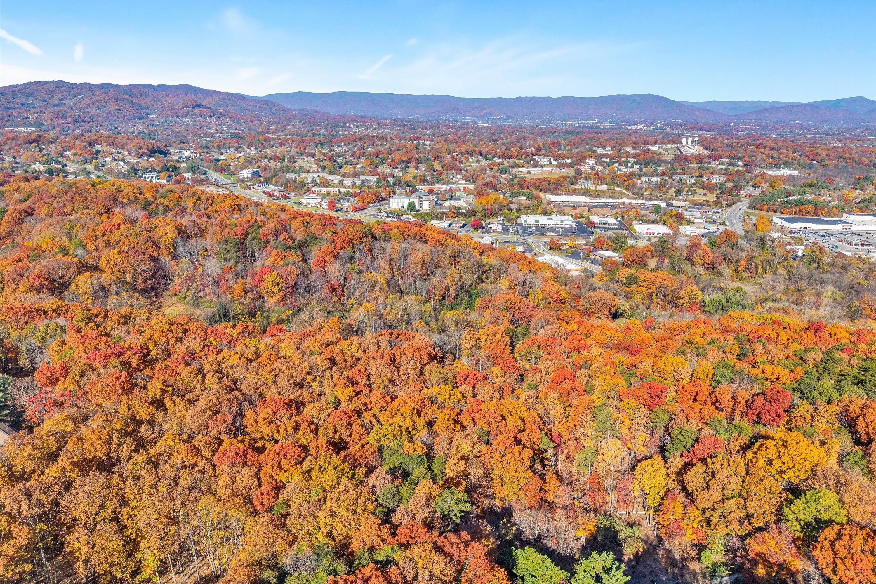 0 Elm View Road Roanoke, VA 24018 - Photo 16 of 29 a view of city and mountain