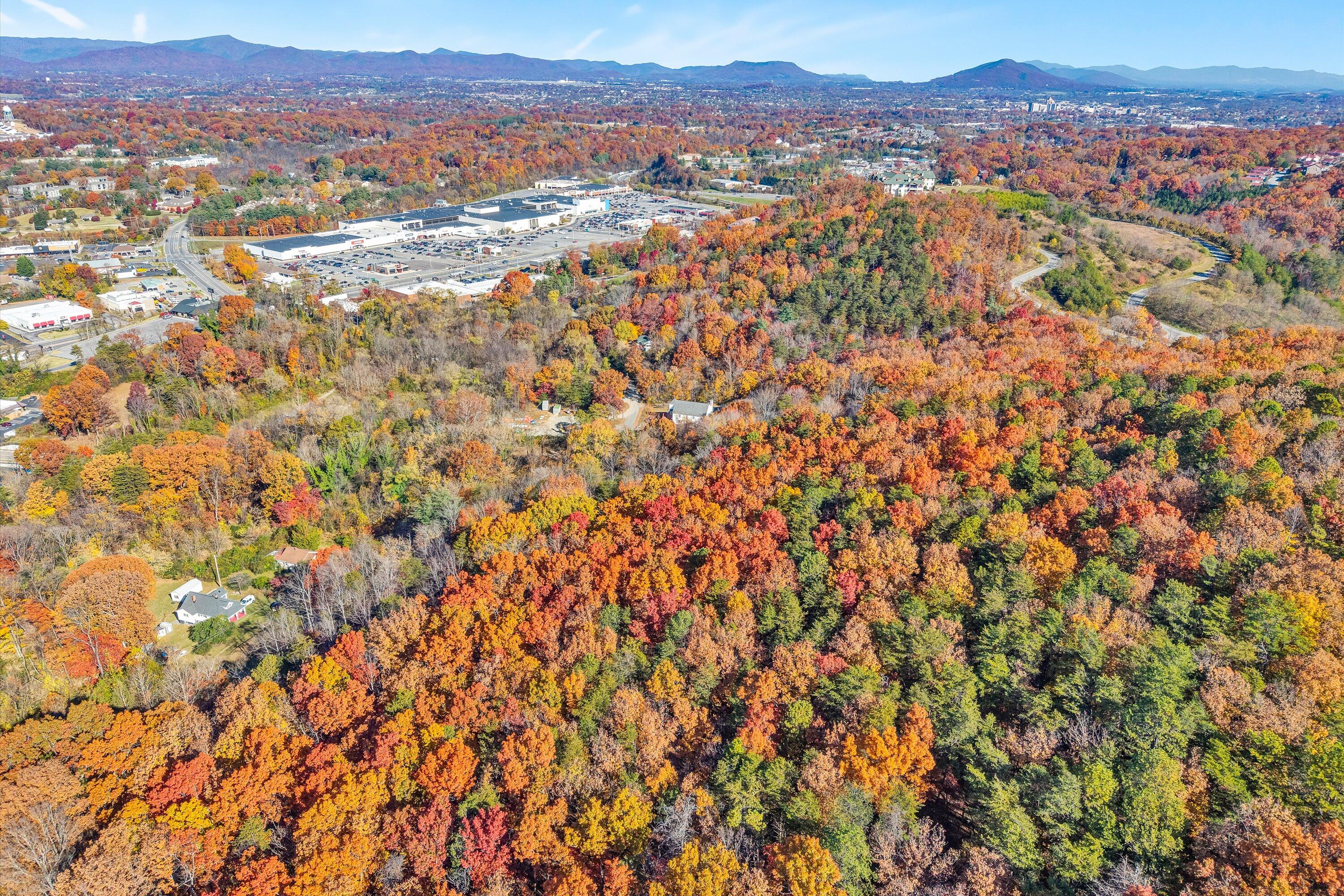 0 Elm View Road Roanoke, VA 24018 - Photo 19 of 29 an aerial view of residential houses and city view