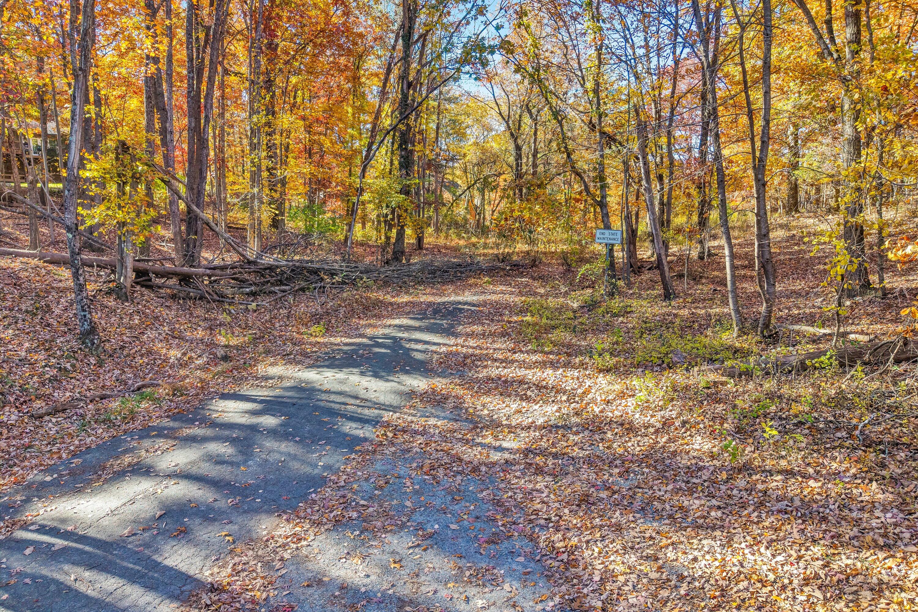 0 Elm View Road Roanoke, VA 24018 - Photo 21 of 29 a view of yard with trees