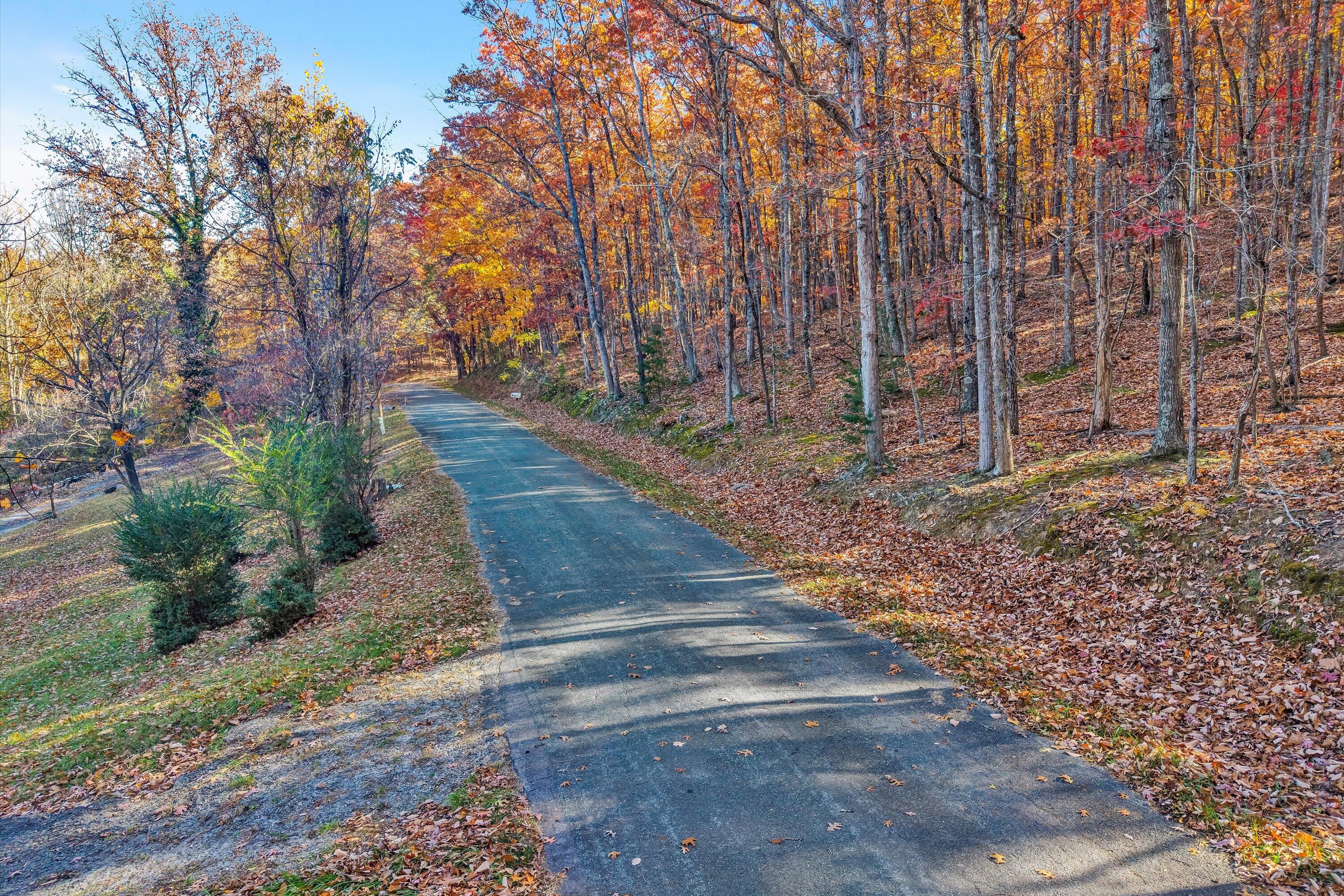 0 Elm View Road Roanoke, VA 24018 - Photo 23 of 29 a view of a yard with plants and trees
