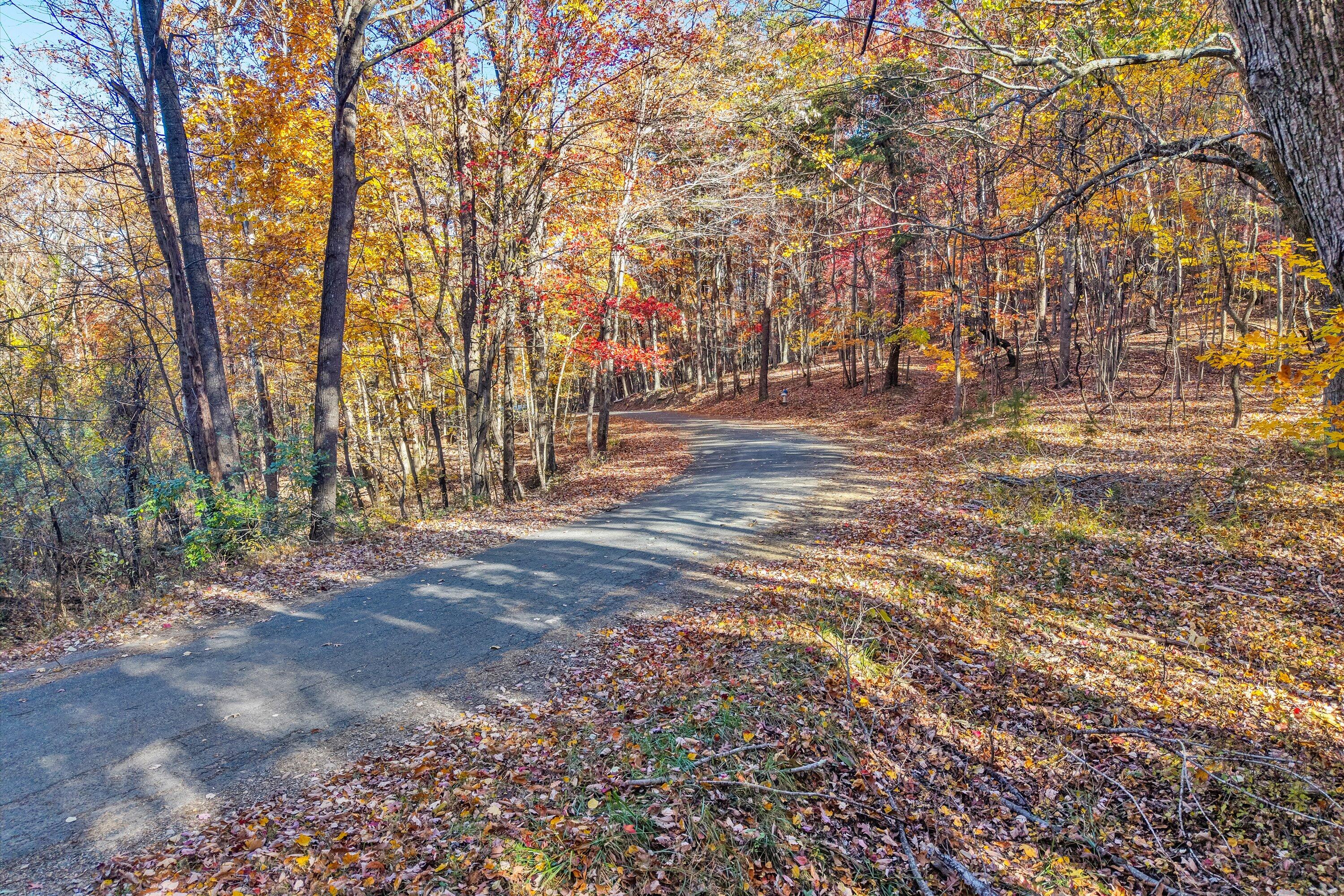 0 Elm View Road Roanoke, VA 24018 - Photo 24 of 29 a view of outdoor space with trees