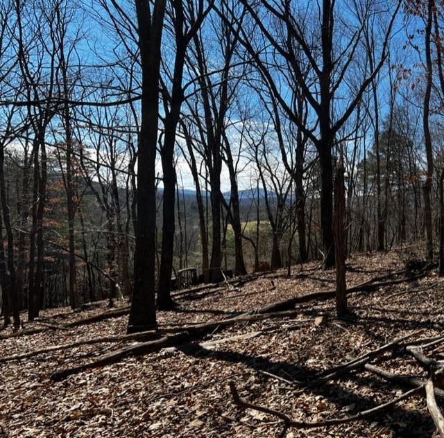 0 Elm View Road Roanoke, VA 24018 - Photo 26 of 29 a view of a backyard with trees