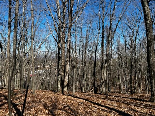 0 Elm View Road Roanoke, VA 24018 - Photo 27 of 29 a view of a backyard of the house