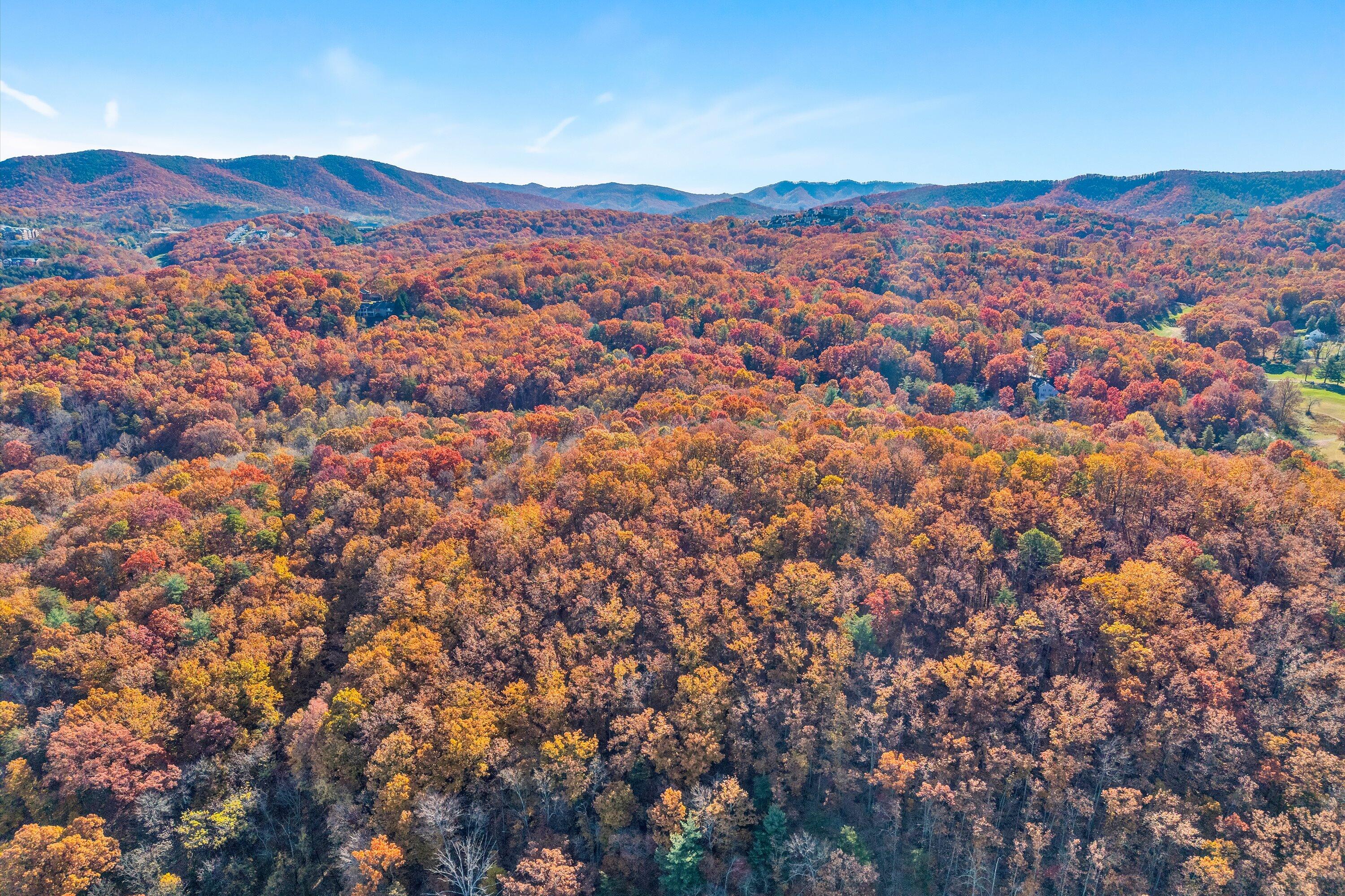 0 Elm View Road Roanoke, VA 24018 - Photo 9 of 29 an aerial view of residential house and sandy dunes