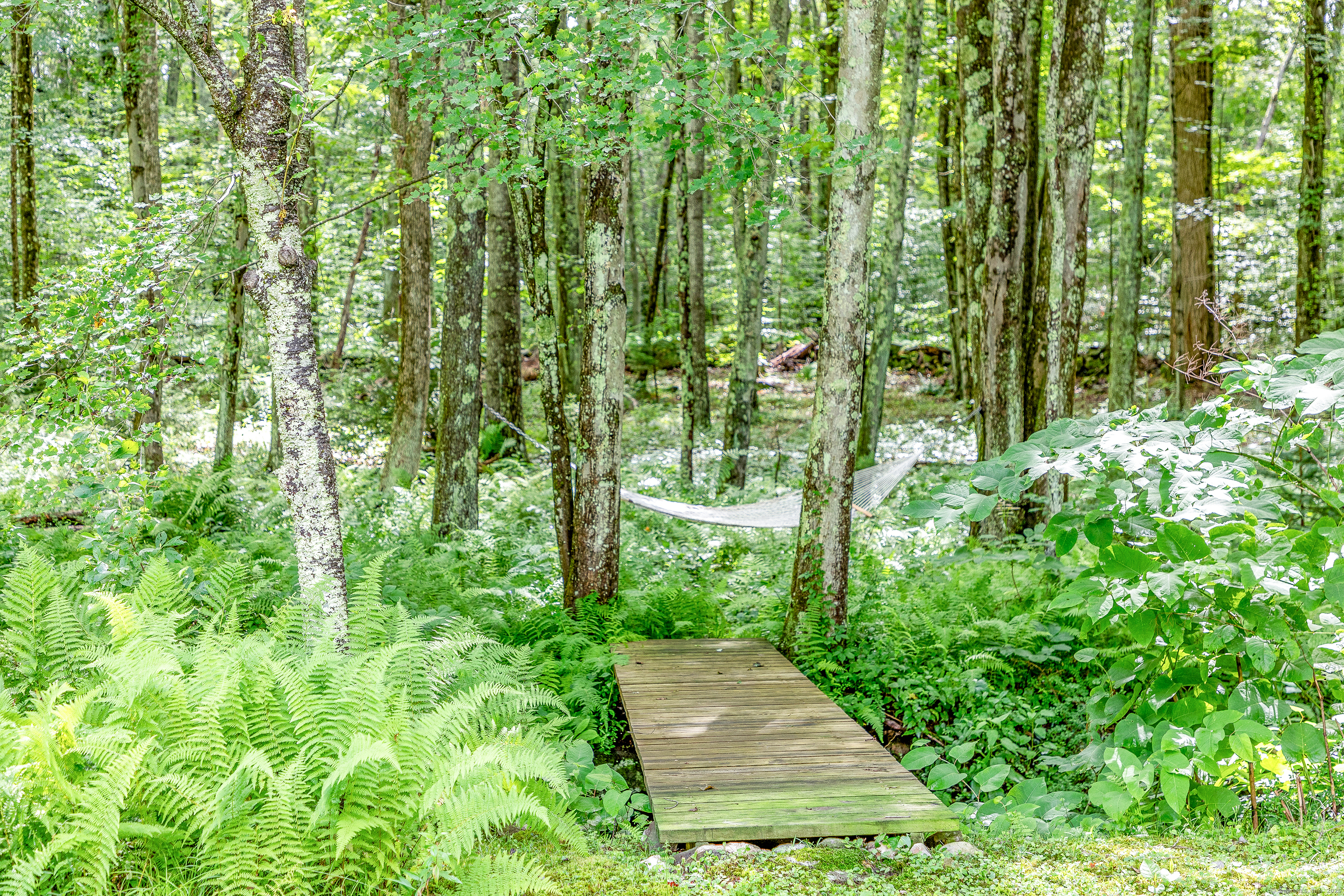 50 Southbury Road Roxbury, CT 06783 - Photo 7 of 31