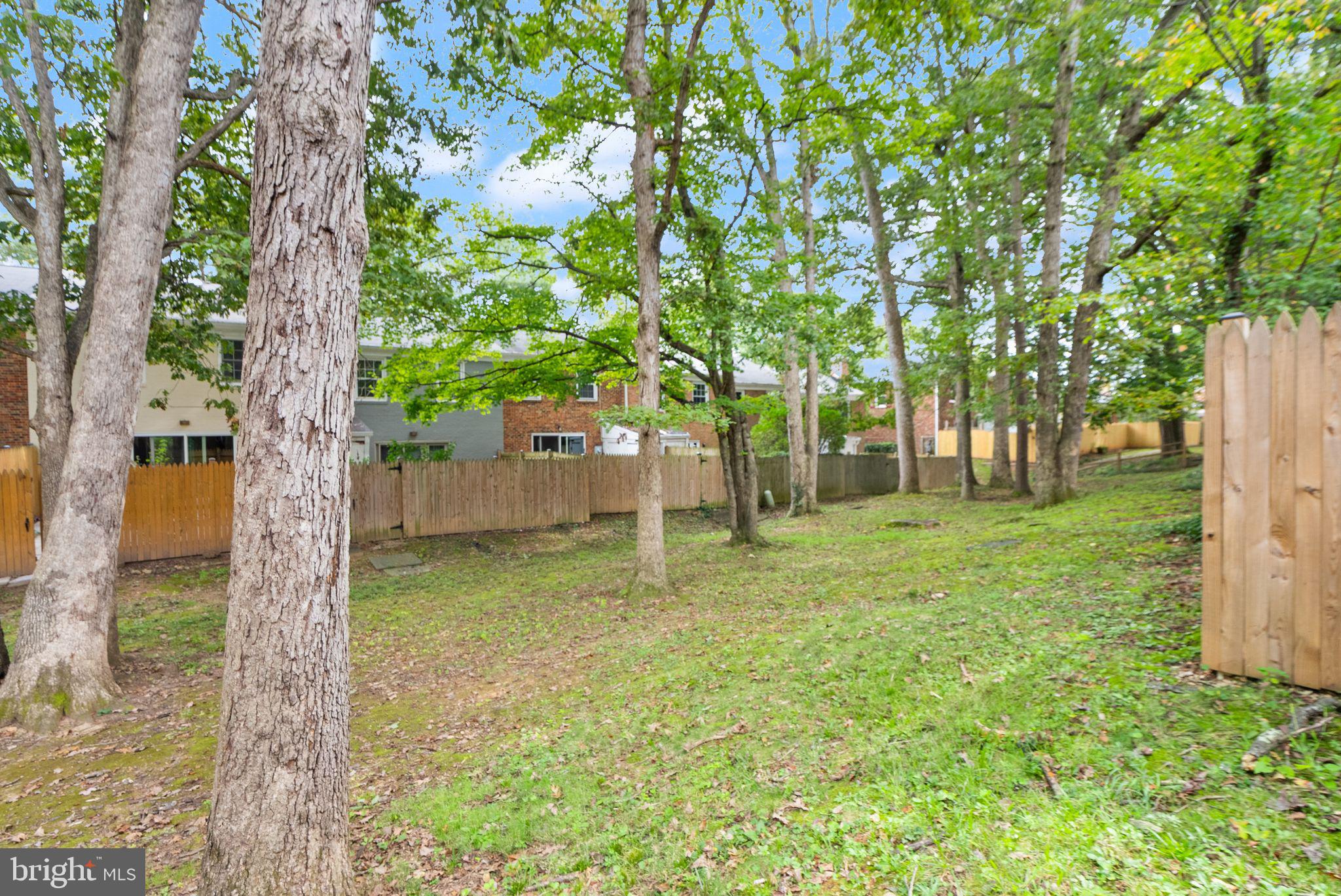 6611 Burlington Place Springfield, VA 22152 - Photo 36 of 41 a backyard of a house with lots of green space