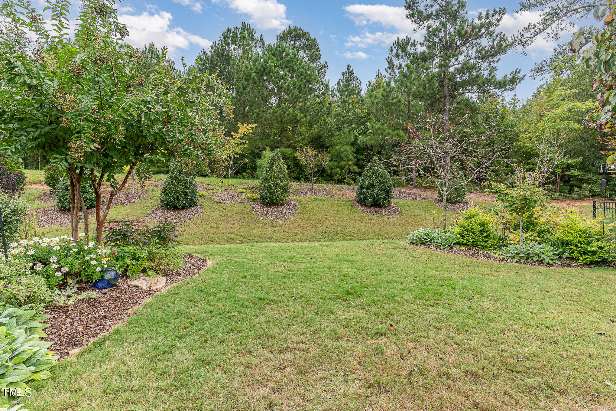 1308 Atticus Way Durham, NC 27703 - Photo 33 of 40 a view of a yard with plants and trees