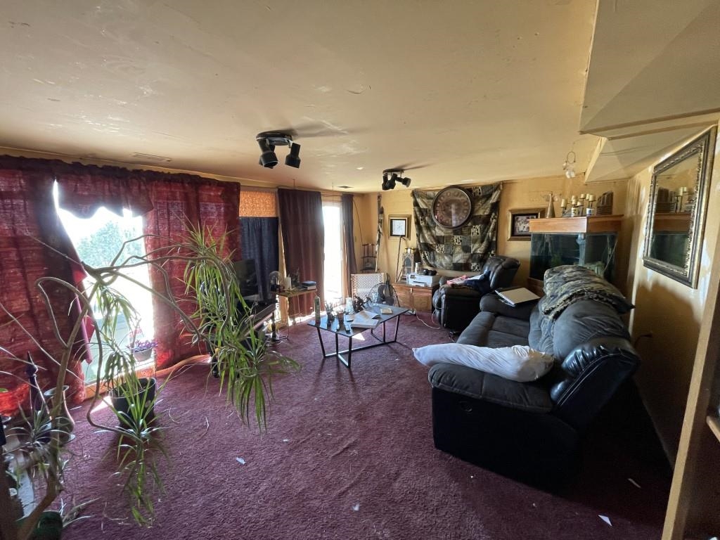 117 Easter Hill Drive Grand Junction, CO 81507 - Photo 13 of 21 a living room with furniture and a potted plant