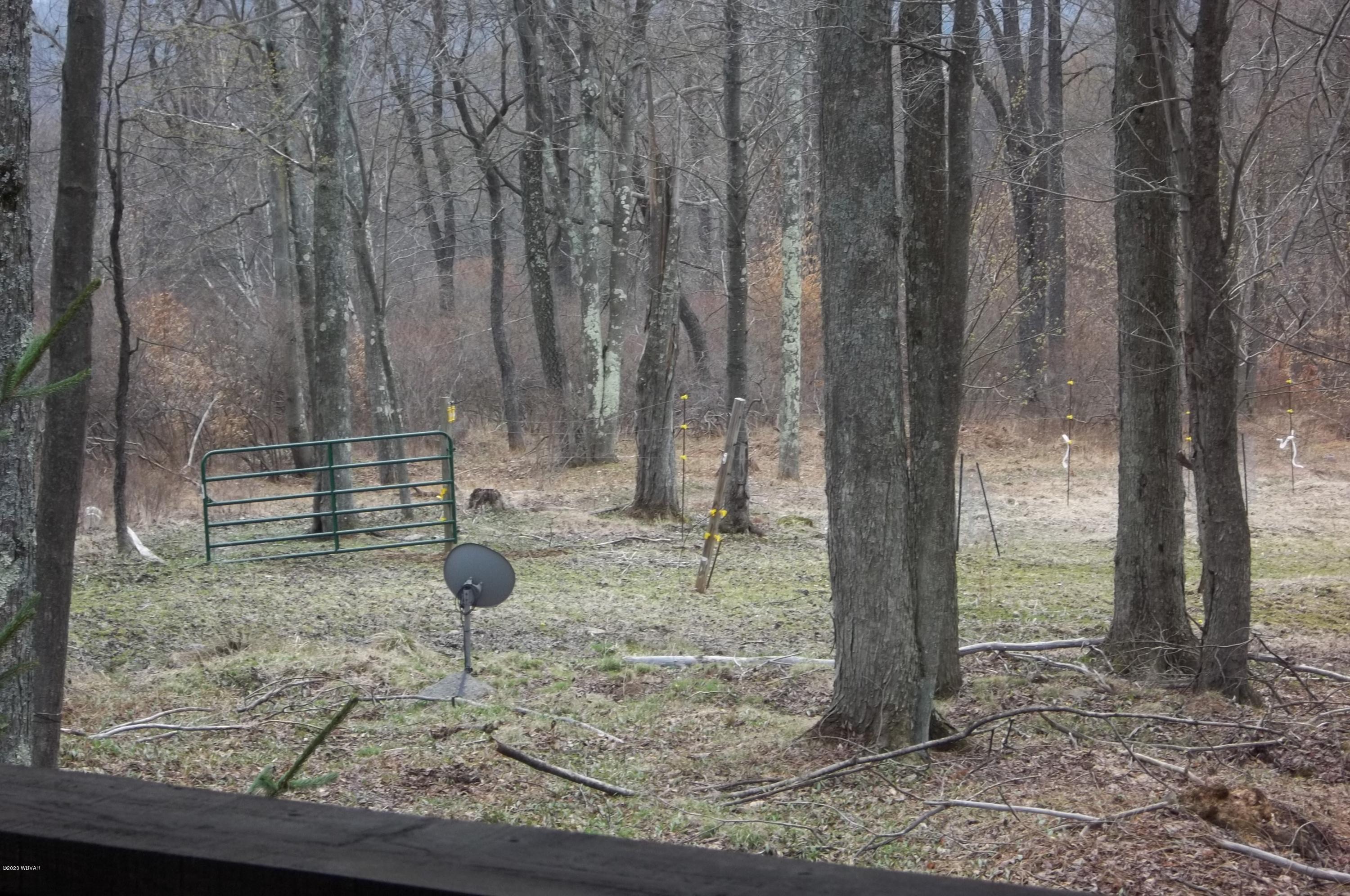 4592 Dutch Mountain Road Dushore, PA 18614 - Photo 21 of 27 Gallery Image 21