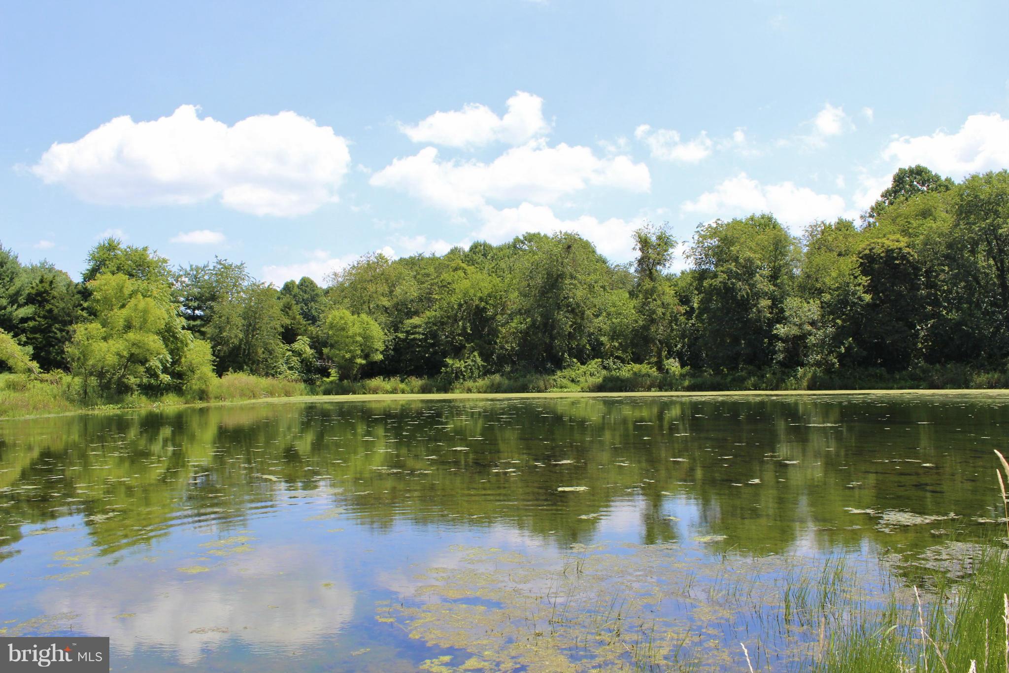 2 Old Frederick Rd Mount Mount Airy, MD 21771 - Photo 1 of 11 Pond in Rear Yard