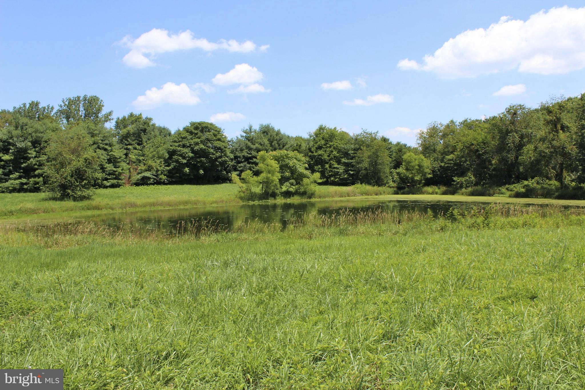 2 Old Frederick Rd Mount Mount Airy, MD 21771 - Photo 3 of 11 Your Pond