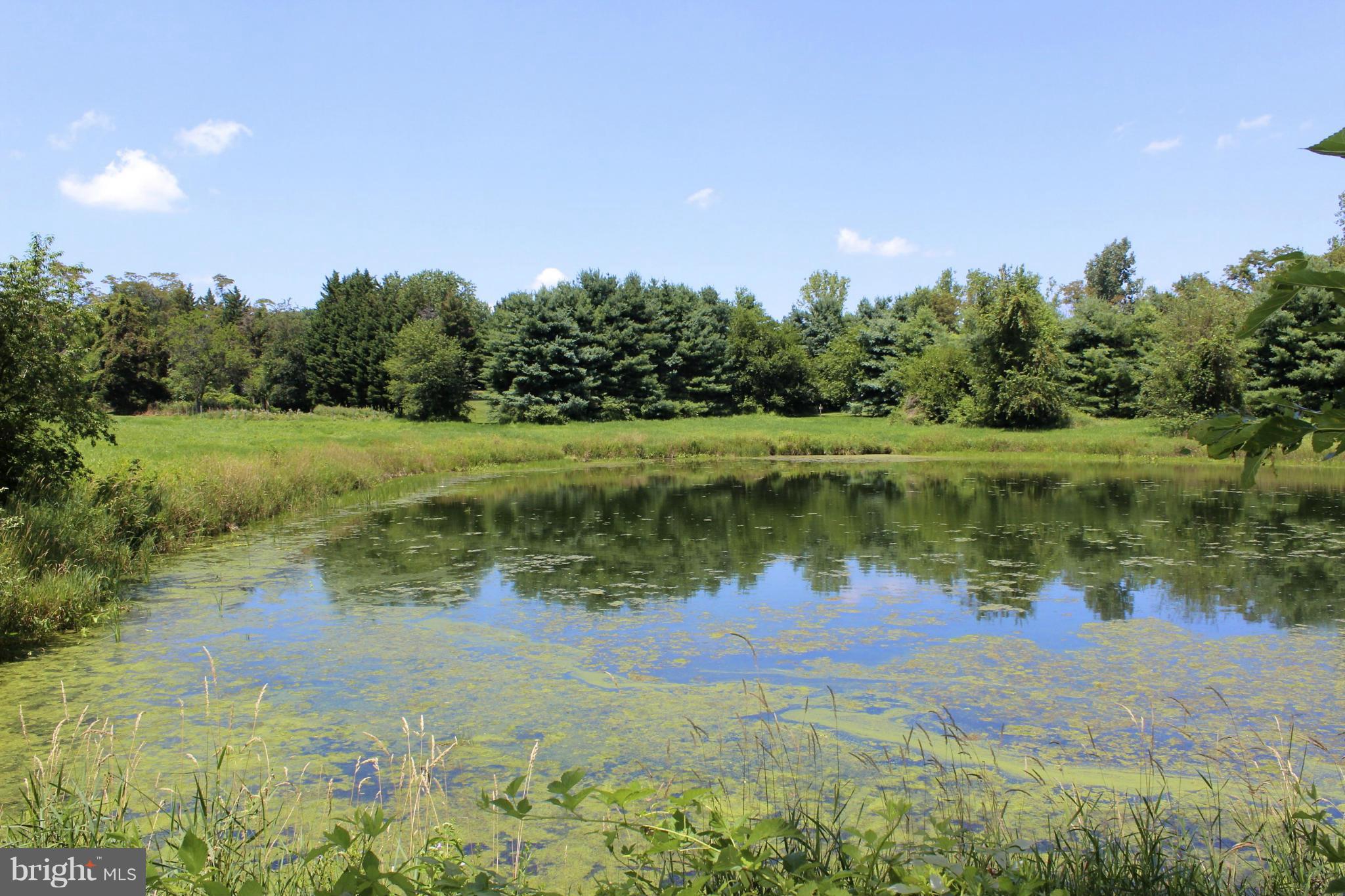 2 Old Frederick Rd Mount Mount Airy, MD 21771 - Photo 5 of 11 View from pond of house