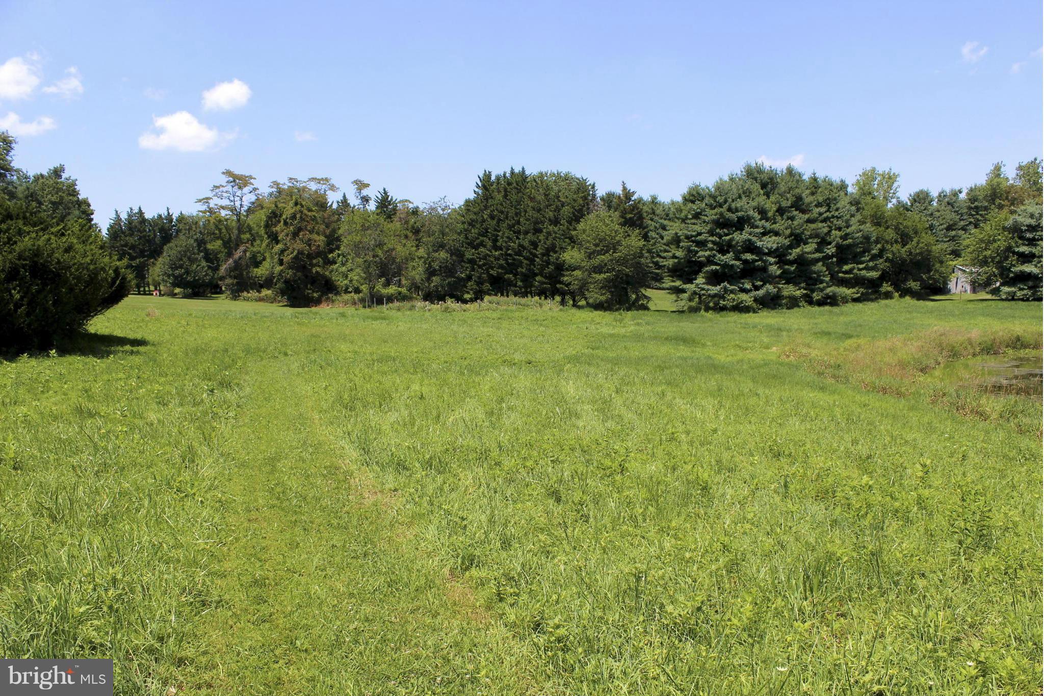 2 Old Frederick Rd Mount Mount Airy, MD 21771 - Photo 9 of 11 View from pond of house