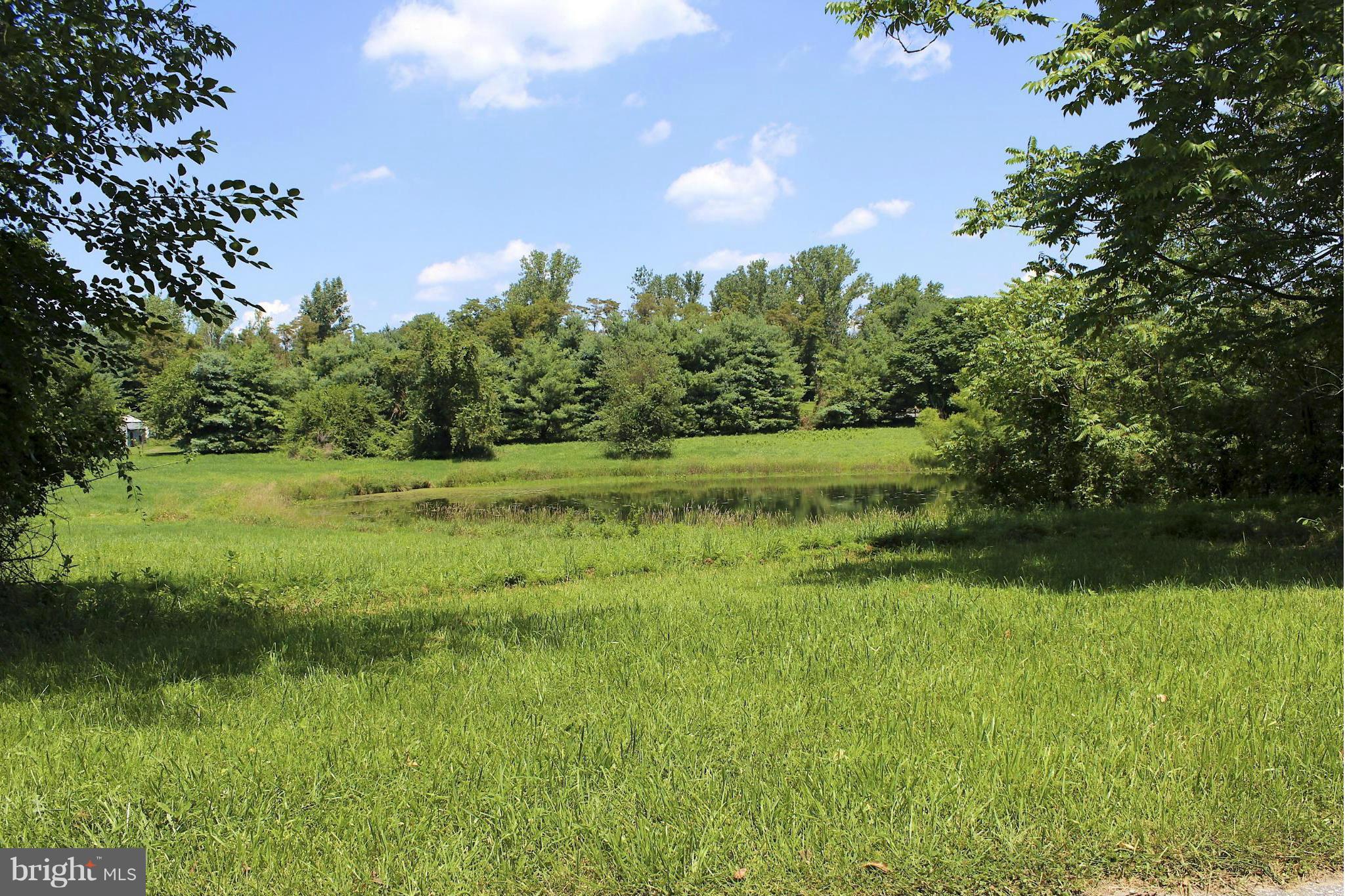 2 Old Frederick Rd Mount Mount Airy, MD 21771 - Photo 10 of 11 View of pond
